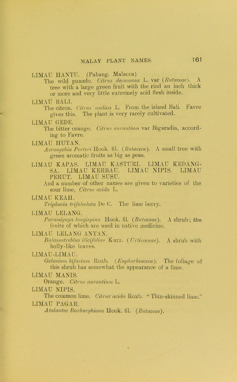 LIMAU UANTU. (Pahang. Malacca) The wild pumelo. Citrus (Icctimana L. var {liiitaeeae). A tree with a large green fruit with the rind an inch thick or more and very little extremely acid flesh inside. LIMAU BALI. The citron. Citrus medica L. From the island Bali. Favre gives this. The plant is very rarely cultivated. LIMAU UEDE. The bitter orange. Citrus auruntium var Bigaradia, accord- ing to Favre. LIMAU HUTAN. Acroniichia Porteri llook. til. (RiUweae). A small tree with green aromatic fruits as big as peas. LIMAU KAPAS. LIMAU KASTURI. LIMAU KEDANG- SA. LIMAU KERBAU. LIMAU NIPIS. LIMAU PERUT. LIMAU SUSU. .Vnd a number of other names are given to varieties of the sour lime, Citrus acida L. LIMAU KEAH. 'Triphasia trifoholala De U. The lime berry. LIMAU LELANG. Paramvjnija longispiua Hook. til. (Rutaceae). A shrub; the fruits of which are used in native medicine. LIMAU LELANG ANTAN. BakuwstrebLus UicifoHus Kurz. {(Jrticaceae). A shrub with holly-like leaves. LIMAU-LIMAU. Gcloniuvi bifarium Roxb. (Pupliorbiaceae). The foliage of this shrub has somewhat the appearance of a lime. LIMAU MANIS. Orange. Citrus uurunliuiu L. LIMAU NIPIS. The common lime. Citrus acida Roxb. “ Thin-skinned lime.” LIMAU PAGAR. Atalautm lioxbunjldaua Hook. lil. (Rutaceae),