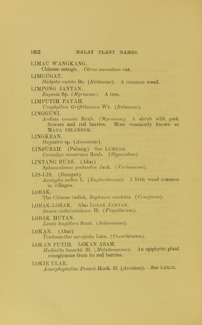 LIMAU WANGKANG. Chinese orange. Citrus ourantium var. LIMGUGAT. Hedijotis vestitu 13r. {Rubiaceae). X coaunon weed. LIMPONG JANTAN. Euf/enia Sp. {Mijvtaceae). A tree. LIMPUTIH PAYAH. Urophyllum Griffithianum Wt. (Rubiaceac). LINGGUNI. Ardisia crenata Roxb. (Myrsineae). \ shrub with pink flowers and red berries. More commonly known as Mata pelandok. LINGKEAN. Oxymitra sp. {Anonaceac). LINSUBAH. (Pahang) See Lumbaii. Curctdiyo sumatrana Roxb. (Ifypoxideae). LINTANG RUAS. (Akai) Sphaenodesma pentandra Jack. {Verbeiiuceae). LIS-LIS. (Rumput) Accdypha mdica Ij. {Euphorhiactae). A little weed common in villages. LUBAK. The Chinese radish, Raphauus caudalus (Crucijhrae). LOBAK-EOBAK. Also Lobak Jantan. Susum anthelmintiouia Bl. {Flagellaneae). LOBAK UUTAN. Lowia lonyiftorn Scort. {Scilaviineae). LOK^N. (Akar) Trichosanthes nervifoiia Linn. (Cucurbitaceae). LUKAN PUTIll. LOKAX ASAM. Minilla hassellii BI. [Melastoniaceuc). An epiphytic plant conspicuous from its red berries. LOKIEL'L.VR. Aviorphophalluii Prainii Hook. fil. (^Avoulcuc)* beo Llilillu