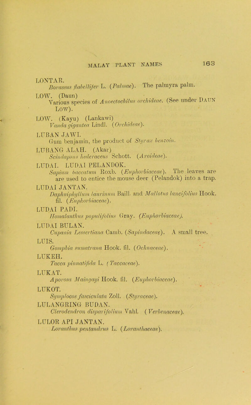 LOXTAR. Bovcissus flahelNJer L. {Pcibiicte^* The palmyia palni. LOW. (Daun) in. Various species of AnoecfochHva orchuUae. (bee under UAirii Low). LOW. (Kayu) (Lankawi) Vanda gigantea Lindl. (Orchideae). LFBAN JAWI. Gum benjamin, the product of Stgraa' hemoin. LUBANG ALAH. (Akar) Scindapsiut Iiederaceus Schott. (Aroideae). LUDAI. LUDAl PELANDOK. Sapium Oaccafum Roxb. {Euphorbiaceae). The leaves are are used to entice the mouse deer (Pelandok) into a trap. LUDAI JANTAN. Daphnipbi/Uuju laurinum Baill. and Mallotns Innci/olhif: Hook, fil. {Euphorbiaceae). LUDAI PADI. Jlomalanthus popuHfolhut (fray. (Euphorbiaceae). LUDAI BULAN. Cnpania Lesserfiana Cainb. (Sapindaceag). A small tree. LUIS. Goviphia S7imatrana Hook. {\\. (Ochnaceae). LUKEH. Tacca pvmafi/ida 1j. f Taccaceae). LUKAT. Aporofta. Maingaiji Hook. fil. (Euphorbiaceae), LUKOT. Sipiiplocos fa.'icicniata Zoll. (Sfgraceae). LULANGRING BUDAN. Clerodendron diyuirifoliiiin Vahl. ( Verbenaceac). LULOR APIJANTAN. Loranthus pentandru.t L. (Loranlhace(te),