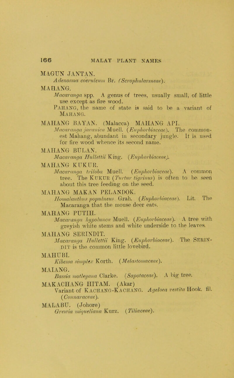 M4GUN JANTAN. Adenoma coern/eimi Rr. (Scrophulanneae). MAFIANG. Macaranga spp. A genus of trees, usually small, of little use except as fire wood. Pahang, the name of state is said to be a variant of Mahang. MAITANG RAYAN. (Malacca) MAIIAXG API. Macaranga jaranivu Muell. {Enphorhiaceae). The common- est Mahang’, abundant in secondary jungle. It is used for fire wood whence its second name. MAIIANG RULAN. Macaranga Hulleltii King. {Enphorhiaceae). M.\HANG KUKUR. Macaranga triloba Muell. (Enphorbiaceae). A common tree. The Kukde {Tnriur tigrinus) is often to be. seen about this tree feeding on the seed. M A HANG MAKAN PELANDOK. Ilomalauthns popidneiis Grab. {Euphorbiaceae). Lit. The Macaranga that the mouse deer eats. MAHANG PUTIH. ^facaranga hgpolunca Muell. {Euphorbiaceae). A tree with greyish white stems and white underside to the leaves. MAHANG SEPJNDIT. Macaranga UnUeltii King. {Euphorbiaceae). The SeriN- DIT is the common little lovebird. MAHURL I\ibe,mi .dmple.r Korth. {.Mela.domaceae). MAIANG. Ba.ma motkgana Clarke. {Sapotaceae). A big tree. MAKACHANG IIITAM. (Akar) Variant of K aciianG-KaCIIANG. Agelnea ve.‘>tifa Hook. til. {Connaraceae). M,\LARU. (Johore) Greicia migneliana Kurz. {TUiaceae).