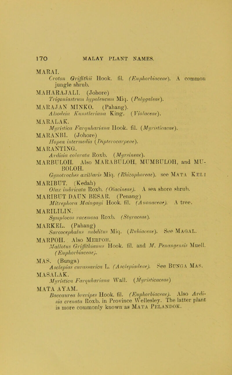 ^[ARAL Croton Oriffithii Hook. fil. (Euphorhiacene). A common jungle shrub. MAHARAJA LI. (Johore) 'rrigoniaatrnm Jiiipolencum Mi(j. (Poljigaleae). MARAJAN MINKO. (Pahang). Alsodeiu ICnnsf/eruina King. [Violorecie). .MARA LA K. Afjiristwu Farquhariana Hook. fil. {Mi/rii>f{cncne). MAR. 'VNBl. (Johore) Ifopea intermedia {Dipterocarpeae). MA RANTING. Ardisia colornta Roxb. (Mi/rwieae). M\RBULOH. Also MARABULOH, MUMBULOH, and MU- BOLOH. Gijnotroclies a.viUarin Miq. (RJnzop/ioreae). see M.AT.\ Keli MARIBUT. (Kedah) Olax’ imhricata Roxb. (OlacineaeJ. A sea .shore shrub. MARIBUT DA UN BESAR. (Penang) Mitrephora Mningapi Hook. fil. (AvonacearJ. \ tree. MARILILIN. Symplocon racemosa Roxb. (Stiirnceae). M.VRKEL. (Pahang) Sarcocephatnst nubditnn .Mi<|. {liiihtneeae). See MaO.\L. MARPOH. Also Merpoh. Mallotus Grifllthiannn Hook. 111. and Penangenm Muell. ( Knpitorhiaceae). MAS. (Bunga) Asclepicfft cin’fffifinvicft Ij. (A.^ch.pio(lene), See BUNGA Mas. MASALAK. ^ . Mijristica Farquhariana Wall. gridicaceae) MATA AYAM. Baccaiirea breripes YLoo\i. fil. (Rnphorbtaceae). .-Vlso Ardi- mi crenata Roxb. in I’rovince Wellesley. The latter plant is more commonly known as Mata Pelandok.