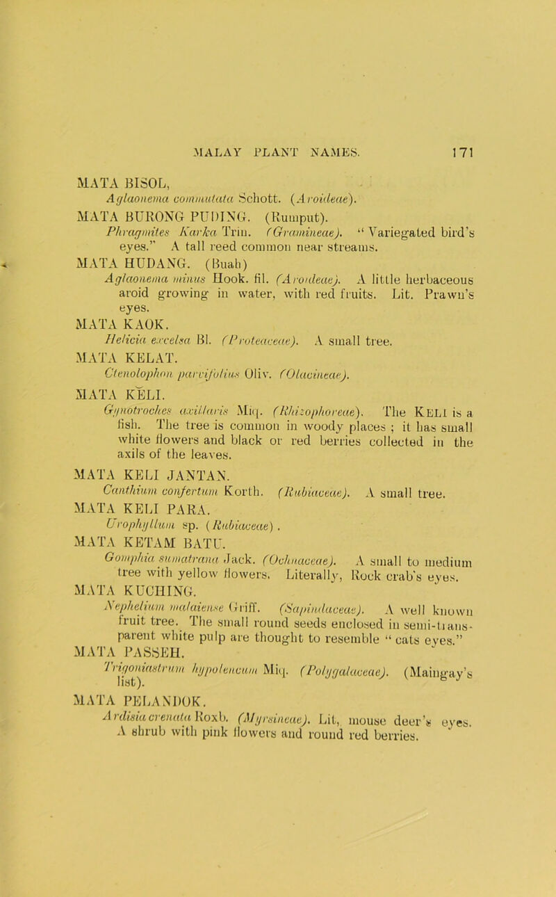 MATA BISOL, Afflaonema comniutala Scliott. (Aroideae). MATA BURONG PUDING. (Rumput). Phragmites KarkaTvm. fGramineae). “ Varieg'aLed bird’s eyes.” A tall reed common near streams. MATA HUDANG. (Buah) Aglaonema minus Hook. til. (ArouleacJ. A little herbaceous aroid growing- in water, with red fruits. Lit. Prawn’s eyes. MATA KAOK. Heltcia e.rcelsa BI. CProteaveae). .\ small tree. MATA KELAT. Cleiwlophon parviJuHas Oliv. COlacvitae). MATA KELL Gunotroches uxUlaris .Mii(. (Rkizoplioreae). The KeLI is a fish. The tree is common in woody places ; it has small white flowers and black or red beiTies collected in the axils of the leaves. MATA KELI JANTAN. Canthium. conjertum Korth. (Kabiaceae). A small tree. MATA KELI PARA. Orophgliuin sp. (Rubiaceae) . MATA KETAM BATU. Gomp/iia sumatranu Jack. (Ochnaoeae). A small to medium tree with yellow flowers. Literally, Rock crab's eyes. MATA KUCHING. Xcpheliam malaitime Cliff. (Sapindaceuf:). A well known fruit tree. The small round seeds enclosed in semi-tians- parent white pulp are thought to resemble “ cats eves ” MATA PASSEH. '!rigoniastvuin hgpolencuin Miq. (Poiggalaceae), (Maingay’s liyt MATA PELANDOK. ArdismcvenataWoxh. (i\Jyrsinme). Lit, mouse deer’s eyes A shrub with pink flowers and round red berries.