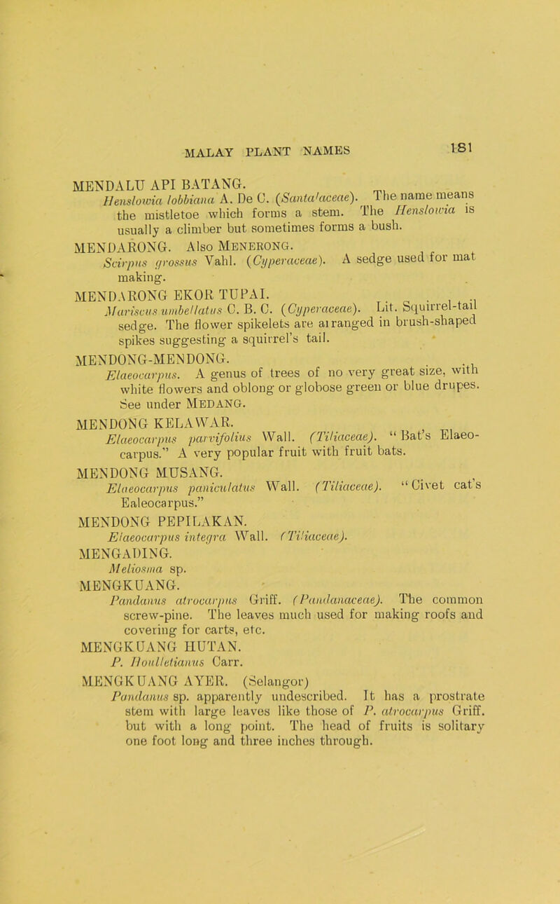 MENDALU API BATANG. Hensloivia tobbiana A. De 0. {Santa'aceae). The name means the mistletoe which forms a stem. The Henslowia is usually a climber but sometimes forms a bush. MENDARONG. Also Meneeong. Scirpus f/rossus Vahl. {Cyperaceae). A sedge used for mat making. MENDARONG EKOR TUPAI. . ^ Mariscusumbellatiis G.B.G. {Cyperaceae). Lit. Squirrel-tail sedge. The flower spikelets are airanged in brush-shaped spikes suggesting a squirrel’s tail. MENDONG-MENDONG. . . Elaeocarpus. A genus of trees of no very great size, with white flowers and oblong or globose green or blue drupes. See under Medang. MENDONG KELAWAR. Elaeocarpus parvifolius Wall. (TUiaceae). “ Bat’s Elaeo- carpus.'’ A very popular fruit with fruit bats. MENDONG MUSANG. Elaeocarpus panictilatus Wall. (TUiaceae). “Civet cats Ealeocarpus.” MENDONG PEPILAKAN. Elaeocarpus inteyra Wall, f TUiaceae). MENGADING. Meliosma sp. MENGKUANG. Pandanus atrocarpus Griff. (Paudanaceae). The common screw-pine. The leaves much used for making roofs and covering for carts, etc. MENGKUANG HUTAN. P. Iloulletianus Carr. MENGKUANG AA'ER. (Selangor) Pandanus sp. apparently undescribed. 11 has a prostrate stem with large leaves like those of P. atrocarpus Griff, but with a long jioint. The head of fruits is solitary one foot long and three inches through.