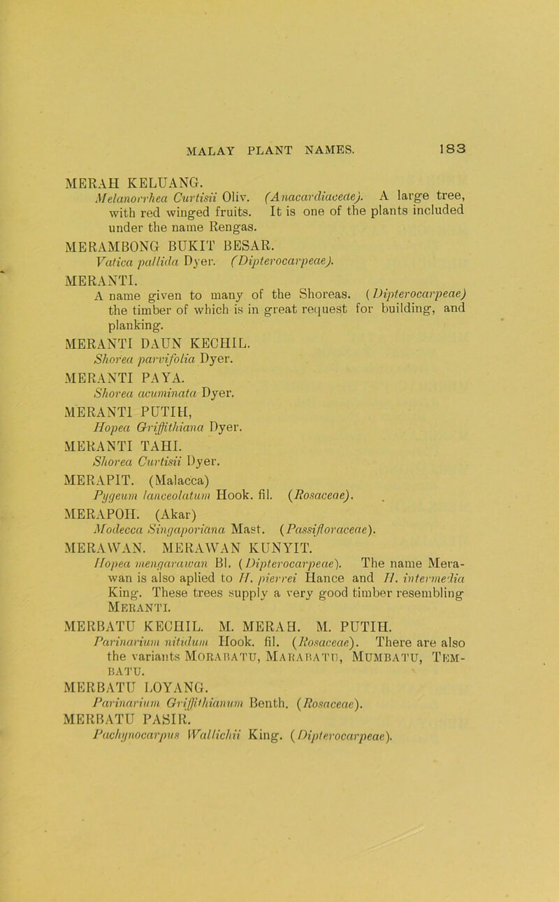 MERAH KELUANG. Melanorrhea Curtisii Oliv. (Anacardiaceae). A large tree, with red winged fruits. It is one of the plants included under the name Rengas. MERAMBONG BUKIT BESAR. Vatica pallida Dyei\ (Dipterocarpeae). MERANTI. A name given to many of the Shoreas. (Dipterocarpeae) the timber of which is in great reipiest for building, and planking. MERANTI DAUN KEOHIL. Shoreu parvifoLia Dyer. MERANTI PAYA. Shorea acuminata Dyer. MERANTI PUTIIl, Hopea Oriffithiana Dyer. MERANTI TAHI. Shorea Curtisii Dyer. MERAPIT. (Malacca) Pygeum lanceolatum Hook. fil. (Posaceae), MERAPOH. (Akar) ^^odecca Sinyaporiana Mast. (Passijloraceae). MERAWAN. MERAWAN KUNYIT. llopea mengaraioan Bl. (Dipterocarpeae). The name Mera- wan is also aplied to If. pierrei Hance and 11. intermedia King. These trees supply a very good timber resembling Meeanti. MERBATU KEOHIL. M. MERAH. M. PUTIH. Parinarium nitidum Hook. fil. (^Posaceaef). There are also the variants MORAIUTU, MAEABATt), Mumbatu, Tem- BATU. MERBATU LOYANG. Parinarium Gri/Jithianuni Benth. (Rosaceae). MERBATU PASIli. Puchynocarpus WalHchii King. {Dipterocarpeae).