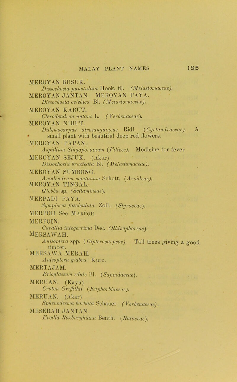 MEROYAN BUSUK. Dissochoeta punctulata Uook. fil. (Melastomaceae). MEROYAN JANTAN. MEROYAN PAYA. Dissochoeta celebica Bl. (Melastomaceae). MEROYAN KABUT. Clevodendron mitaiis L. (Verbenaceae). MEROYAN NIBUT. Didjimocarpus atrosungidneus Ridl. {CyrtuiulraceaeJ. A ' small plant with beautiful deep red flowers. MEROYAN PAPAN. Aspiditim Shujapovianmi (Filices). Medicine for fever MEROYAN SEJUK. (Akar) Dissochoeta bracteata Bl. (Melastomaceae). MEROYAN SUMBONG. Auudendnim montanum Schott. (AroideaeJ. MEROYAN TINGAL. Globba sp. (Scitamineae). MERPADI PAYA. Symp'ocos fasciculata Zoll. (Slpraceae). MERPOU See Marpoh. MERPOIN. Carallia iiiteijerrima Dec. (Rhizophoreae). mersa\yah. Anisoptera spp. {Uipterocarpeae). Tall trees giving- a good timber. MERSAVVA MERAll. A nisoptera glabra K urz. MERTAJAM. Frioglojssum edule Bl. (Sapindaceae). MERUAN. (Kayu) Croton GnJIitJni (Fiiphorbiaceae). MERUAN. (Akar) Sphenodesma barbata Scliaiier. (Verbenaceae). MESERAII JANTAN. Evodia Ro.rbnrghiana Benlh. {Rutaceae).