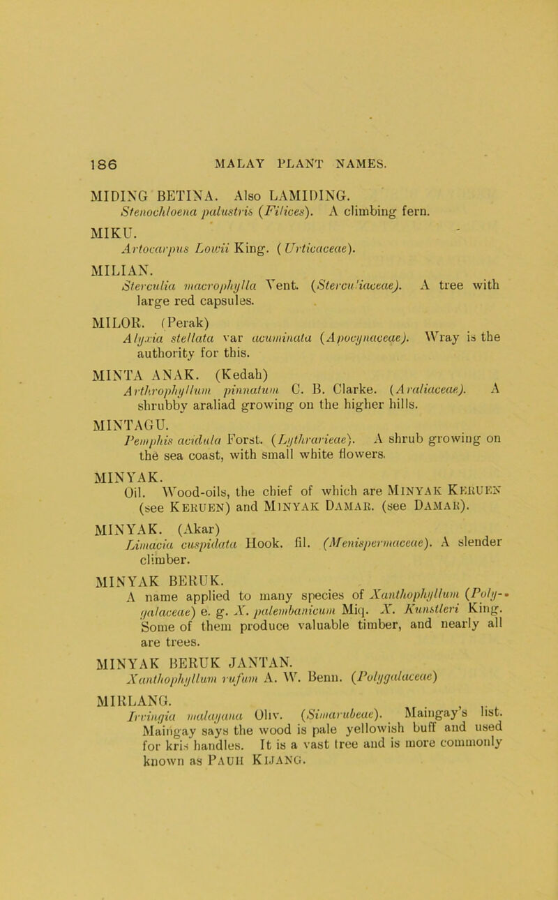 MIDING RETINA. Also LAMIDING. Sfenochloena palustris (Filices). A climbing fern. MIKU. Ai'tocarptis Lowii King. (Urtioaceae). MILIAN. Sterculia niacropltpHa Vent. {Stercu'iaceae). A tree with large red capsules. MILOR. fPerak) Alp.iia stellata var acuminata (Apocifiiaceae). Wray is the authority for this. MINTA ANAK. (Kedah) Arthrophyllum pinnatum C. B. Clarke. (Araliaceae). A shrubby araliad growing on the higher hills. MINTAGE. Pemphis aculula Forst. {Lythrarieae). A shrub growing on the sea coast, with small white flowers. MINYAK. Oil. Wood-oils, the chief of which are Minyak KkuULN (see Kekuen) and Minyak Damae. (see Damak). MINYAK. (Akar) Limacia cuspidata Uook. fil. (Afenispermaceae). A slender climber. MINYAK BERUK. A name applied to many species of Xunthophyllmi (Poly-^ i/alaceae) e. g. A', palembanicum Miq. A^ Kun&tieri King. Some of them produce valuable timber, and nearly all are trees. MINYAK BERUK JANTAN. Xant/iophijllum rufum A. W. Benn. (Polygalaceae) MIRLANG. . , ^ Iri'infjia malayana Ohv. (^Simarubcae). Maingay s list. Maiiigay says the wood is pale yellowish buff and used for kris handles. It is a vast tree and is more commonly known as Pauh Kmang.
