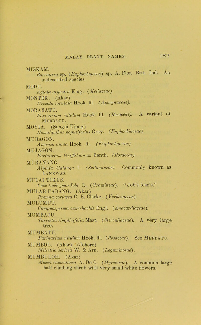 MISKAM. _ , T ^ V Baccaurea sp. (Euphorhtaceae) sp. A. Flor. lint. Ind. An undesoribed species. MODU. Aglaia argentea King. {Meliaceae). MONTEK. (Akar) Urceolci torulosa Hook. fil. (Apoqinaceae). MORABATU. Parinciviuvi nitidum, Hook. fil. (Ros^ctctnc)- A variant of MERBATU. MOAHA. (Sungei Ujong) HomalantJnifi populifoHns Gray. (Euphorbiaceae). MUBAGON. Aporosa niirea Hook. fil. (Euphorbiaceae). MU J AGON. Parinarium Griffifhutmm Benth. (Romceae). MURANANG. Alpinia Galanga L. (Scitamineae). Commonly known as LANKWAS. MULAI TIKUS. Coix lacliripna-Jobi L. {Gramiueae), “ Job’s tear’s.” MULAR FADANG. (Akar) Premna corincca C. B. Clarke. {Verbenaceae), MULUMUT. CampnoRpermn oxyrrhachis Engl. {Anacardiaceae). MUMBAJU. Tarrietia eirnplicifolia Mast. (Sterculiaceae). A very large tree. MUMBATU. Parinarium nitidum Hook. fil. {Rosaceae). See Merbatu. MUMBOU. (Akar) ' (Johore) MiUeitia sericea W. & Arn. {Leguminosae). MUMBULOH. (Akar) Moesa ramentacea A. De C. (Myrsineae). A common large half climbing shrub with very small white flowers.
