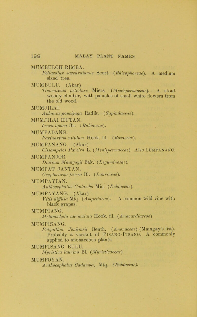 MUMBULOH RIMBA. Pellacalijx mccardicnwn Scort. {R/tizopIioreae). A medium sized tree. ^rUMBUBU. (Akar) Tvwmif^cum petiolare Miers. {Meninpervmceae), A stout woody climber, with panicles of small white flowers from the old wood. MUMJILAI. Aphania pmcijuga Radik. {Sapindacene). MUMJILAI HUT AN. Ixora opaca Br. {Tiuhiaceae). MUMPADANG. Parinarium mtidum Hook. fil. {Roaaceae), MUMPANANG. (Akar) Ci/fmmpeloid Pareirn L. (Afeniytermareae). .\lso LTJMPANANG. MUMPANJOR. Dialium Mainf/ai/ii Bak. {Legvminoaae). MUMP AT J ANT AN. Cruptocarija ferrea Bl. (Laurineae). MUMPAYIAN. Anthocepha'iin Cudamba Miq. (Rnbiaceae). MUMPAYANG. (Akar) Vitis diffusa Miq. {Ampelideae). common ^’ild vine with black grapes. MUMPIANG. Melanochgla auriculata Hook. lil. (Amicardiaceae) MUMP (SANG. Polgalthia Jenkmsii Benth. {Anonaceae) (Maingay’s list). iS-obably a variant of Pisang-Pisang. A commonly applied to anonaceous plants. MUMPISANG BULU. M}jristica laurina. Bl. (Afifristicaccae). MU.MPOYAN. Avthocephahts Cadaniba. .Miq. (Rubiaceap),