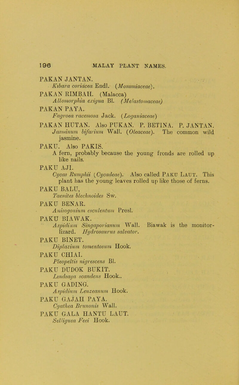 PAKAN JANTAN. Kibara coriacea Endl. {Moiwniaceae). PAKAN RIMBAll. (Malacca) Allomorphia exigua Bl. (Me/astoiiiaceae) PAKAN PAYA. Fagroea racemosa Jack. {Loganiaceae) PAKAN HUTAN. Also PUKAN. P. BETINA. P. JANTAN. Jasminuin bi/avium Wall. (Oleaceae). The common wild Jasmine. PAKU. Also PAKIS. A fern, probably because the young fronds are rolled up like nails. PAKU AJl. Cycas Rumphii [Cycadeae). Also called Paku Laut. This plant has the young leaves rolled up like those of ferns. PAKU BALU, 'Faenites blechnoides Sw. PAKU BENAR. Antsogonium esculentuin Presl. PAKU BIAWAK. Aspidium Singaporianum Wall. Biawak is the monitor- lizard. Hydrosaurus salvator. PAKU BINET. Dipiazium tomentosum Hook. PAKU CHIAI. Pleopeltis nigrescens Bl. PAKU DUDOK BUKIT. Lindsaya scandens Hook.. PAKU GADING. Aspidium Leuzeanum Hook. PAKU GAJAH PAYA. Cyalhea Brunonis Wall. PAKU GALA UANTU LAUT. SelHguca Feei Hook.