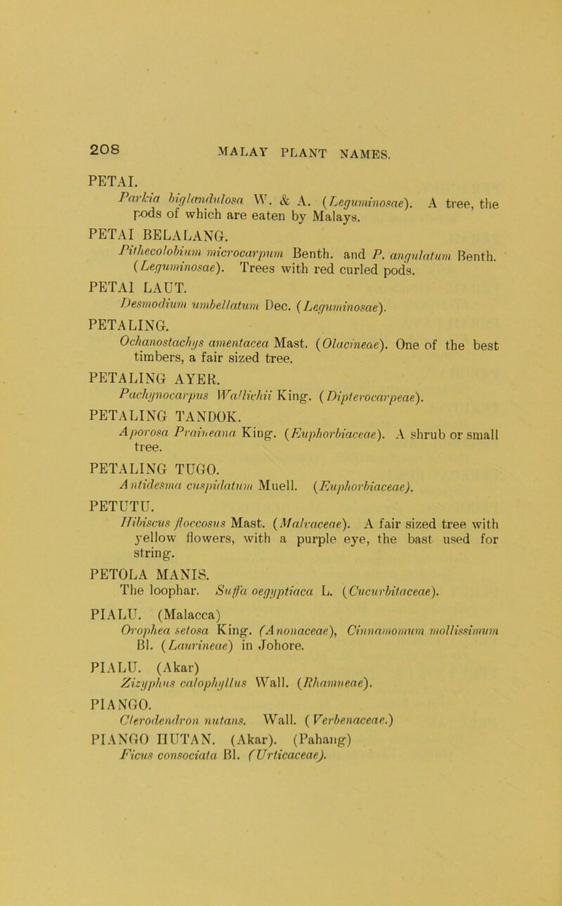 PETAL Pnrha hicflaiulnlosa . & A. (Legiminome). A tree, the pods of which are eaten by Malays. PET AI BE LA LANG. Pithecolobiim microcarpum Benth. and P. anr/uhtim Benth. {Leguminosae). Trees with red curled pods. PETAl LAUT. Destuoilium uinbellahiin Dec. {Lecjuminosae). BETA LING. Ocbamstacb/js amentacea Mast. (Olacmeae). One of the best timbers, a fair sized tree. BETA LING AYER. Pachijnocarpus Wallivhii King. {Dipferocarpeae). PETALING TANDOK. Aporosa Pvaiveana King. {^Euphorbiaceae). X shrub or small tree. PETALING TUGO. A ntidesma cu.yndaijnn Muell. {Euphorbiaceae). PETUTU. Hibiscus floccosus Mast. {Malraceae). A fair sized tree with 3’ellow flowers, with a purple eye, the bast used for string. PETOLA MANIS. The loophar. Sufa oegi/ptiaca L. {Cucurbitciceae). PI ALU. (Malacca) Orophea setosa King. (Anonaceae), Cvivmiiomvm moUissimum Bl. (Laurvieac) in Johore. PI ALU. (Akar) ZizifpliHS calophjiUus Wall. {Phamueae). PIANGO. Clerodendron nutans. Wall. ( Verbenacene.) PI.ANGO IIUTAN. (Akar). (Pahang) Fiats consociata Bl. (Urticaceae).