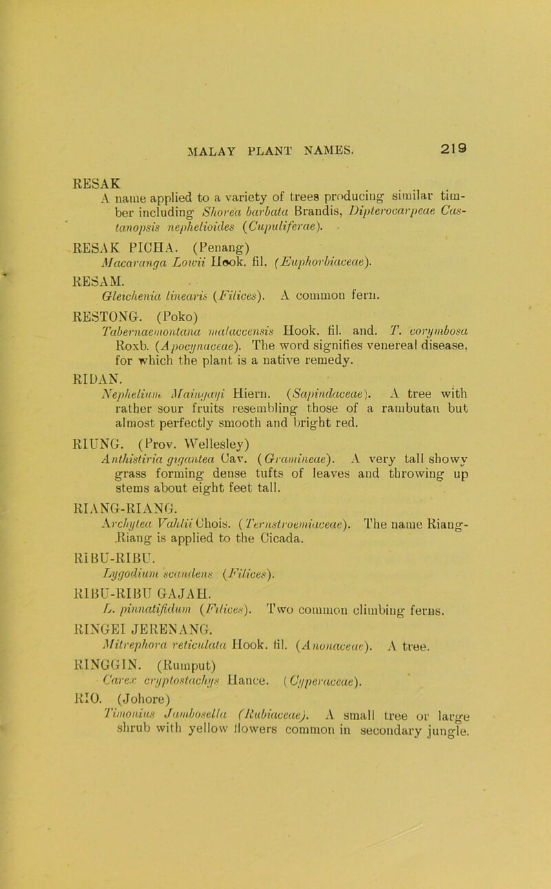 RESAK A name applied to a variety of trees producing similar tim- ber including Shorea barbuta Brandis, Dipterocarpeae Cas- tunopsis nephelioiiles {Cupuliferae). RESAK RICH A. (Penang) Macarunga Loicii llook. fil. (Euphorbiaceae). RES AM. Gleichenia linearis {Filices). A common fern. RESTONG. (Poko) Tabernaemontana vialaccensis Hook. fil. and. T. corymbosa Roxb. (Apocynaceae). The word signifies venereal disease, for which the plant is a native remedy. RIDAN. Xeplielinm Mainyaiii Hiern. (Sapindaceae). A tree with rather sour fruits lesembling those of a rambutan but almost perfectly smooth and bright red. RIUNG. (Prov. Wellesley) Anthistiria gtgantea (Graniineae). A very tall showy grass forming dense tufts of leaves and throwing up stems about eight feet tall. RIANG-RIANG. Arcbytea Vahlii Chois. (Ternstroeiniuceae). The name Riaug- Jliang is applied to the Cicada. RiBU-RIBU. Lygodium sc<cnden.'>- (Filices). RIBU-RIBU GAJAH. fy. pinnatifulum (Ft/ices). Two common climbing ferns. RIXGEI JERENANG. Mitrephora reticulata Hook. fil. (Anvnaceae). A tree. RINGGIN. (Rumput) Carex cryptostachys fiance. ( Cyperaceae). RIO. (Johore) Tinioniiis Jambosella (Rubiaceae). A small tree or large shrub with yellow flowers common in secondary jungle.