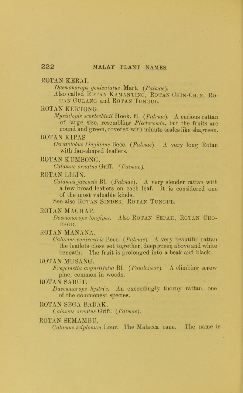 ROTAN KERAI. Daemonorops geniculalus Mart. (Pahnae). Also called Rotan Kamanting, Rotan Chin-Chin, Ro- TAN Gulang and Rotan Tungul. ROTAN KERTONG. Mi/rialepis scortechinii Hook. fil. {Palmae). A curious rattan of large size, resembling Plectocomia, but the fruits are round and green, covered with minute scales like shagreen. ROTAN KIPAS Oeratolohus kingianus Becc. {Palmae). A very long Rotan with fan-shaped leaflets. ROTAN KUMBONG. Calamus ornatus Griff. (Palmae). ROTAN LILIN. Calamus Jarensis Bl. {Palmae). A very slender rattan with a few broad leaflets on each leaf. It is considered one of the most valuable kinds. See also Rotan Sindek, Rotan Tungul. ROTAN MACHAP. Doemonorops longipes. Also RoTAN SEPAH, RoTAN Cho- CHOR. ROTAN MANANA. Calamu.'t coriirostris Becc. {Palmae). A very beautiful rattan the leaflets close set together, deep green above and white beneath. The fruit is prolonged into a beak and black. ROTAN MUSANG. Fregcinetia angustijolia Bl. {Pandaneae). A climbing screw pine, common in woods. ROTAN SABUT. Daemonorops ligslrU. An exceedingly thorny rattan, one of the commonest species. ROTAN SEGA BADAK. Calamus ornatus Griff. {Palmae). ROTAN SEMAMBU. Calamus scipionum Lour. The Malacca cane. The name ifc