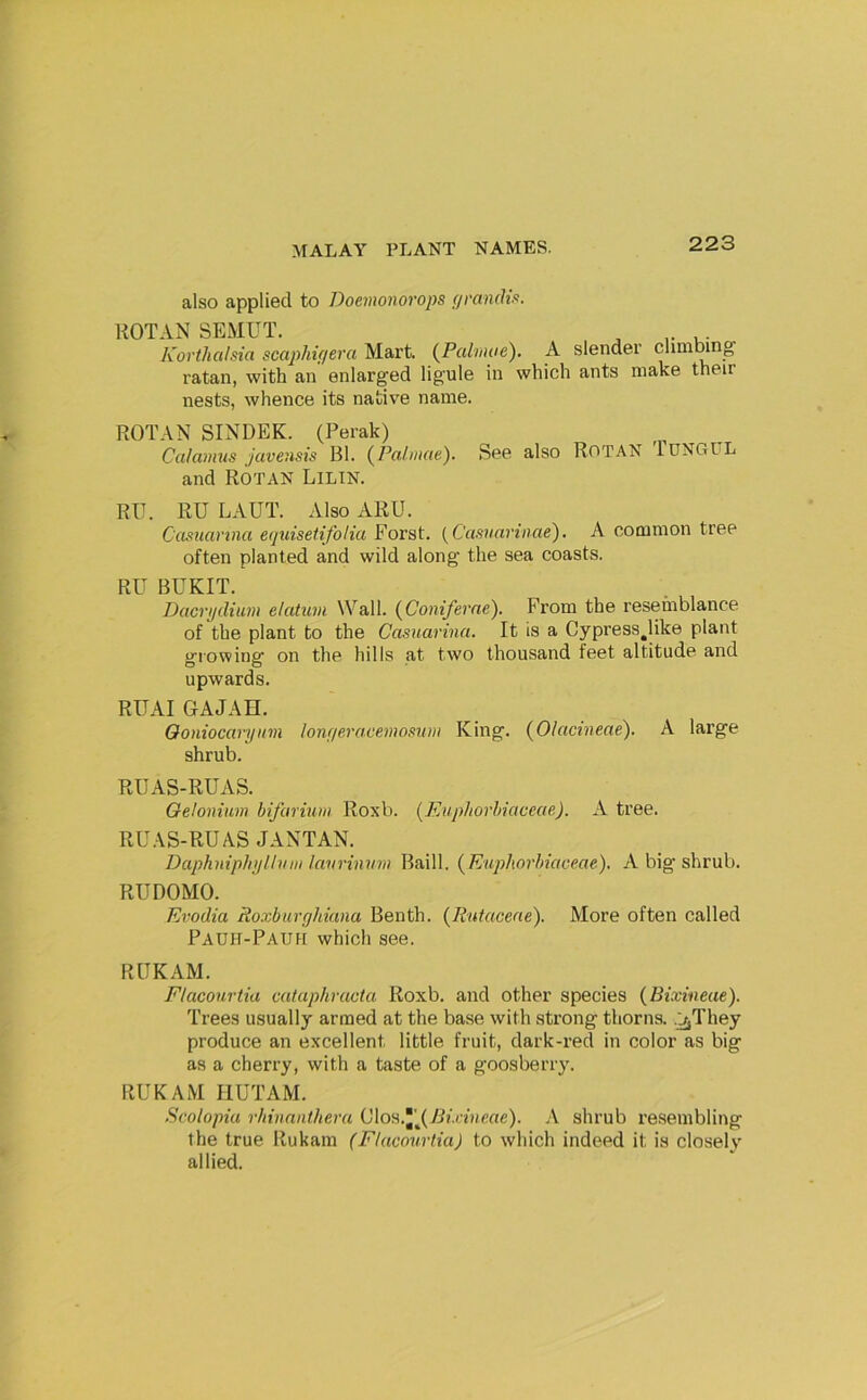 also applied to Doemonorops f/ran(U.<>. ROTAN SEMUT. ^ .. Korthalsia scaphujera Mart. {Pabnae), A slender climmng' ratan, with an enlarged ligule in which ants make their nests, whence its native name. ROTAN SINDEK. (Perak) Calamus javensis Bl. (^Palmae). See also ROTAN TUNGPL and Rotan Lilin. Rll. RU LAUT. Also ARU. Casuarina equisetifolia Forst. [Casuarinae), A common tree often planted and wild along the sea coasts. RU BUKIT. Dacrydium elatum Wall. (^Coniferae). From the resemblance of the plant to the Casuarina. It is a Cypress^like plant growing on the hills at two thousand feet altitude and upwards. RUAI GAJAH. Ooniocaryim lonqeracemosum King. (Olacineae). A large shrub. RUAS-RUAS. Oeloniim bifarium Roxb. (Euphorbiaceae). A tree. RUAS-RUAS JANTAN. Daphniphyllum lavrinum Baill. {Euphorbiaceae). A big shrub. RUDOMO. Evodia Roxbuvyliiana Benth. (Ruiaceae). More often called Pauh-Pauh which see. RUKAM. Flaconrtia cataphracta Roxb. and other species {Bixineae). Trees usually armed at the base with strong thorns. .^They produce an excellent little fruit, dark-red in color as big as a cherry, with a taste of a goosberry. RUKAM HUT AM. Scolopia rhinanthera C\oH.l\{Bix{neae). A shrub resembling the true Rukam (Flacourfia) to which indeed it is closely allied.