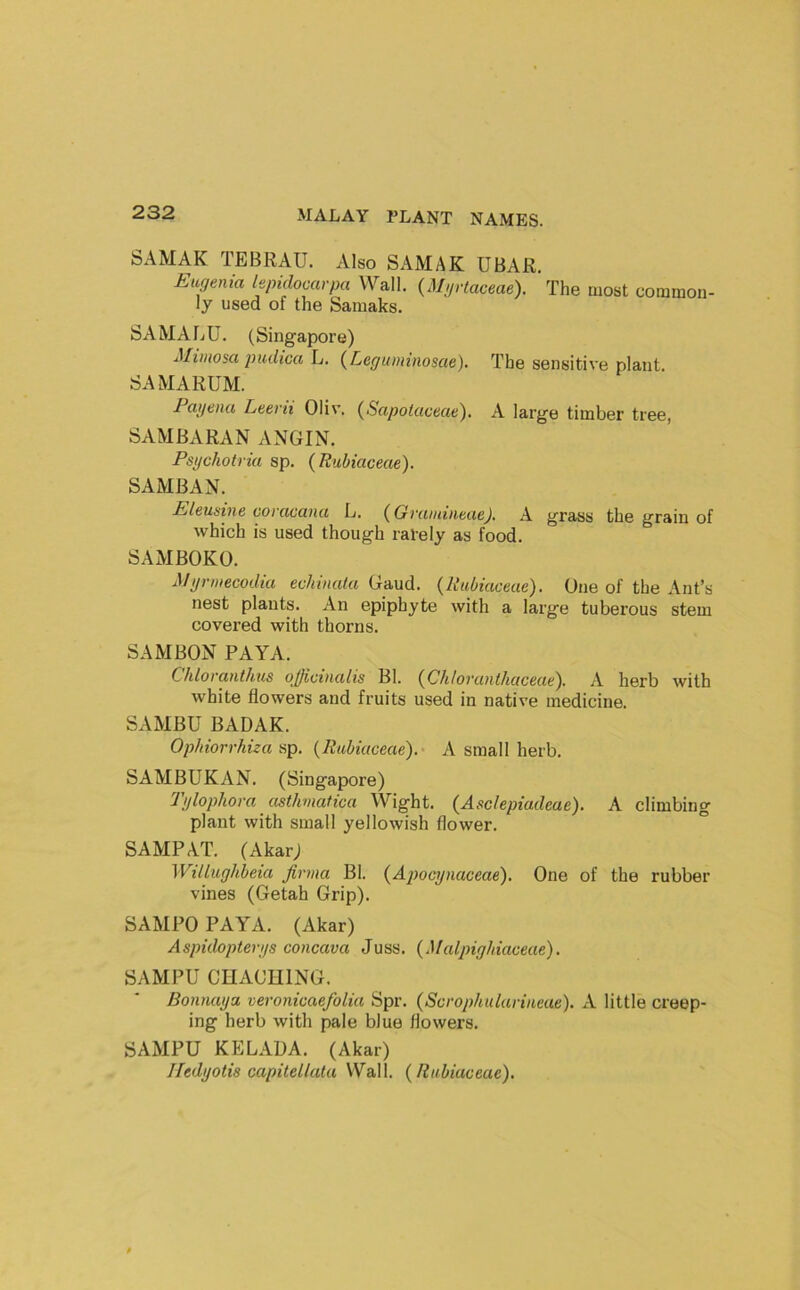 SAMAK TEBRAU. Also SAMAK UBAR. Eugenia lepidocarpa Wall. {Mgrtaceae). The most common- ly used of the Samaks. SAMALU. (Singapore) Mimosa pudica L. {Leguininosae). The sensitive plant. SAMARUM. I ayena Leerii Oliv, {Sapotaceae). A large timber tree, SAMBARAN ANGIN. Psgchotria sp. (Rubiaceae). SAMBAN. Eleusine coracana L. (Gnimineae). A grass the grain of which is used though rarely as food. SAMBOKO. Mgrmecodia echinala Gaud. {Rubiaceae). One of the Ant’s nest plants. An epiphyte with a large tuberous stem covered with thorns. SAMBON PAYA. Chloi'aiitlius officinalis Bl. {Chlovanthaceae). A herb with white flowers and fruits used in native medicine. SAMBU BADAK. Ophiorrhiza {Rubiaceae).- A small herb. SAMBUKAN. (Singapore) Tylophora asthmatica Wight. {Asclepiadeae). A climbing plant with small yellowish flower. SAMPAT. (Akarj Willughbeia jirma Bl. {Ajmcynaceae). One of the rubber vines (Getah Grip). SAMPO PAYA. (Akar) Aspidopterys concava Juss. {.Malpighiaceae). SAMPU CHAOHING. Bonnaya veronicaefolia Spr. {Scvophularineae). A little creep- ing herb with pale blue flowers. SAMPU KELADA. (Akar) Hedyotis capitellata Wall. {Rubiaceae).