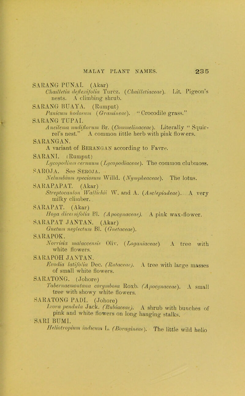 SARANG PGNAI. (Akar) Chailleiia ilefle.rifolia Tiircz. {Chai/le/iaceae). Lit, Pig'eon’s nests. .A climbing shi’ub. SARANG IWAA'A. (Riunput) Panicuvi hodosiuii (Oramineae). “ Crocodile gras.s.” SARANG TUP A I. Aneilema nudifiorum Hr. (Commelinaceae). Literally “Squir- rel’s nest.” A common little herb with pink flowers. SARANGAN. A variant of Berangan according to Favre. SARANI. (Rumput) Lijcopodiam rernuum {Liicopodiaceae). The common clubmoss. .=^AR0JA. See Seroja. Neiumbiuni ftpeciosum Willd. {iVifwpheaceae). The lotus. SARAPAPAT. (Akar) Streptocaulon Wallirlm W. and A. (Aficlepiadeae). A very milky climber. SARAPAT. (Akar) Ilojja diveisifolia HI. (Apoci/naceae). A pink wax-flower. SARAPAT JANTAN. (Akar) Gnetum neplectum Bl. (Gnefaceae). SARAPOK. .Yorrisia viaktcceuxin Oliv. {Loganiaceae). A tree with white flowers. SARAPOH JANTAN. Evodia latifolia Dec. (Rntacear). A tree with large masses of small white flowers. SARATONG. (Johore) Tabernaemontana corymbosa Roxb. (Apocynaceae). A small tree with showy white flowers. SARATONG PAUL (Johore) I.rora pendnia Jack. (Itubiaceae). A shrub with bunches of pink and white flowers on long hanging stalks. SARI BUMl. Ifelinlropivm indicim Ij. (Bomgine.af ). The little wild helio