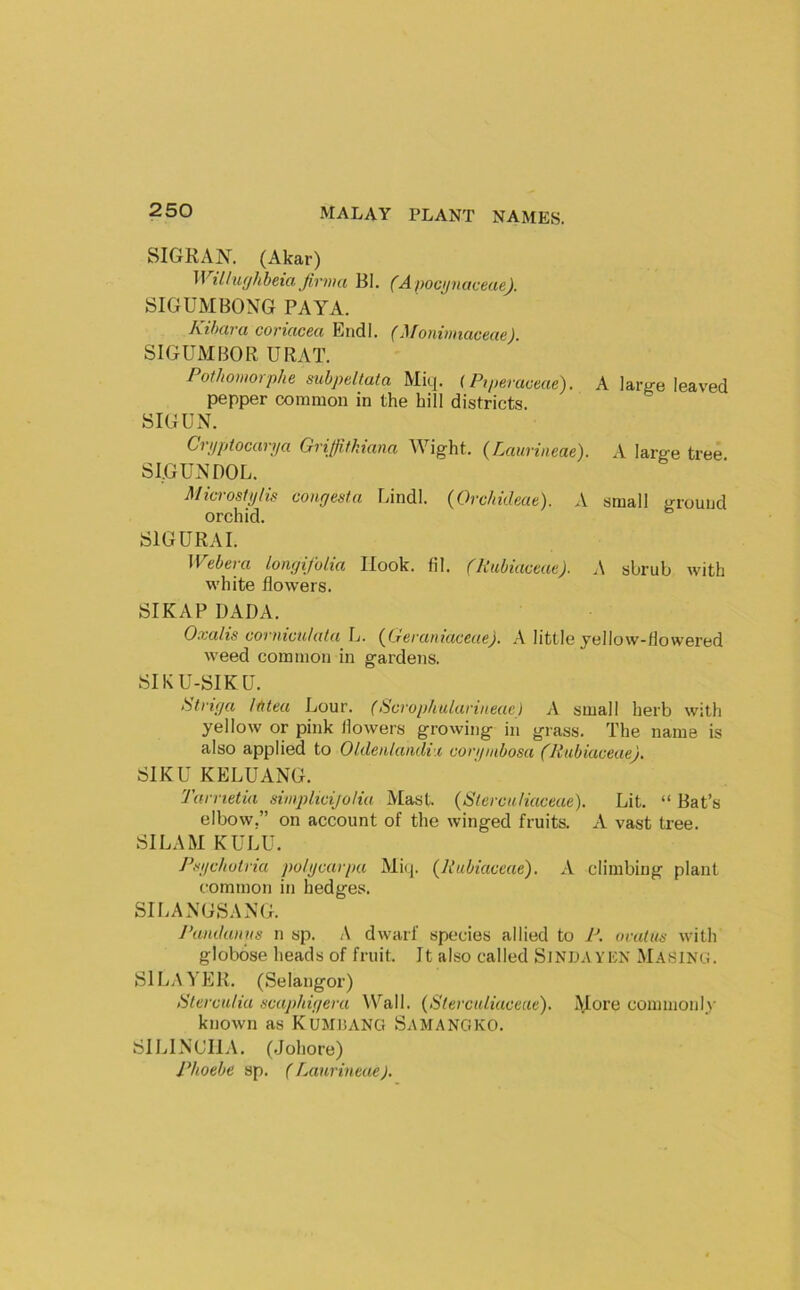 SIGRAN. (Akar) WiUufjhbeia Jirma BI. (Apocijnaceae). iSIGUMBONG PAYA. Kihara coriacea End I. (Monimuiceae). SIGUMBOR URAT. Pothomorphe subpeltata Miq. (Ptperaceae). A large leaved pepper common in the hill districts. SIGUxY. Crijptocarya Griffitkiana Wight. {Laurineae). A large tree SIGUNDOL. Microslylis congesta Lindl. (Orchtdeae). A small ground orchid. SIGURAI. Webera longijblia Hook. fil. rpubiaccae). A shrub with white flowers. SIKAP UADA. O.valis cornicu/ata L. (^Geraniaceue). A little yellow-flowered weed common in gardens. SIKU-SIKU. Striga Uiteu Lour. (Scrophularineuc) A small herb with yellow or pink flowers growing in grass. The name is also applied to Oldetikmdix corgmbosa (Rubiaceae), SIKU KELUANG. Tarrietia simplicijo/iu Mast. (Sterca/iaceae). Lit. “ Bat’s elbow,” on account of the winged fruits. A vast tree. SI LAM KULU. Pi<gchvlria polgmrpu Miq. {Rubiaceae). A climbing plant common in hedges. SILANGSANG. J’andunns n sp. /\ dwarf species allied to P. ovalits with globose heads of fruit. It also called SlNDAYKN MA.S1NG. SI Layer. (Selangor) StercaUa scaphigera Wall. (SterciUiaceae). More commonl,\' known as KUMliANG SaMANGKO. SILINCIIA. (Johore) Phoebe sp. (rMurineae).