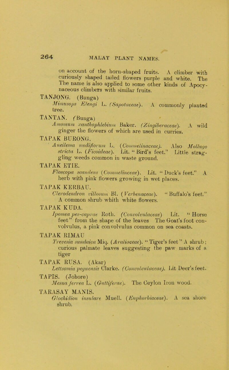 on account of the horu-shaped fruits. A climber with curiously shaped tailed flowers purple and white. The Ihe name is also applied to some other kinds of Apocy- naceous climbers with similar fruits. TAN JONG. (Bunga) ^fi)nl(sops Elengi L. (Sapotaveae). A commonly planted tree. TANTAN. ('Buuga) Amomum xanthophlebium Baker. (Zinyiberaceae). A wild ginger the flowers of which are used in curries. TAPAK BUKONG. Aneilenia nudijlorum L. {C'oinmelinaceae). Also MoUugo stricta L. (Ficoideae). Lit. “ Bird’s feet.” Little strag- gling weeds common in waste ground. TAPAK ETIE. Floscopa scandens {Comnielinceae). Lit. “ Duck’s feet.” A herb with pink flowers growing in wet places. TAPAK KERBAU. Cfevodendron vtUosum Bl. ( Verbenaceac), “ Buffalo’s feet.” A common shrub whith white flowers. TAPAK KUDA. Ipomea pes-caprae Roth. (Convolvulaceae) Lit. “Horse feet” from the shape of the leaves The Goat’s foot con- volvulus, a pink convolvulus common on sea coasts. TAPAK RIMAU Trevesia sundaica Miq. (Andiaceae). “ Tiger’s feet” A shrub; curious palmate leaves suggesting the paw marks of a tiger TAPAK RUSA. (Akar) Lettsomia peguensis Clarke. (Cunvolvuiaoeae). Lit Deer’s feet. TAPIS. (Johore) Mestca Jerrea L. {Outtiferae). The Ceylon Iron wood. TARASAY MANIS. G/ochidioii insukirt Muell. {Ftiphorbiaceae). A sea shoi’e shrub.
