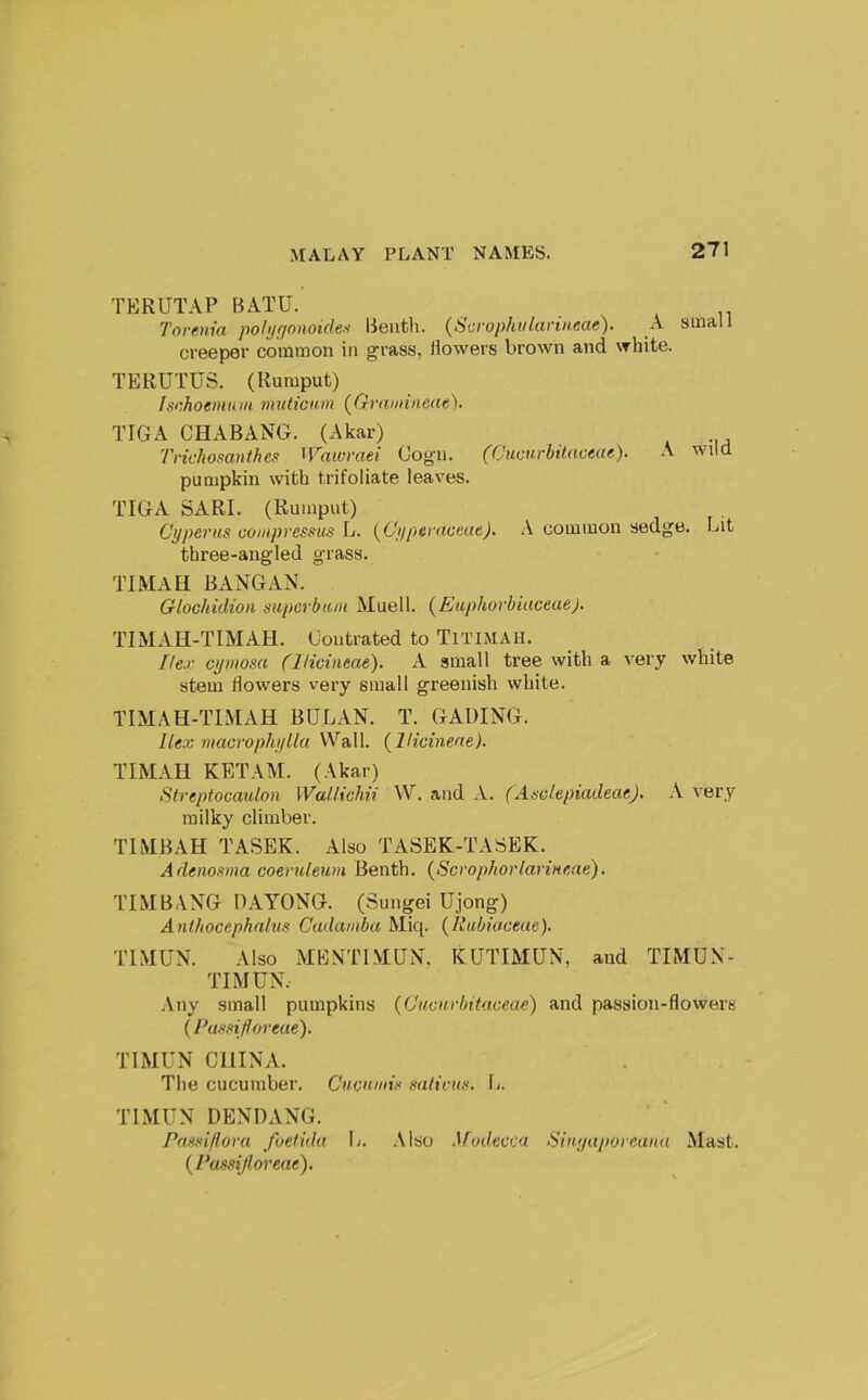 TERUTAP BATU. Toreuia pohjgonoides Benth. (Scrophularineae). A small creeper common in grass, Howers brown and white. TERUTUS. (Rumput) It^choemniu muticnm (^Graniineae). TIGA CHABANG. (Akar) Trichosanthes ^^aw)^aei Oogii. (Cucurbilaceae). A wild pumpkin with trifoliate leaves. TIGA SARI. (Rumput) Cyperus compressus L. {Cypernoeae). A common sedge. Lit three-angled grass. TIMAH BANGAN. Glochidion snpcrbtim Muell. (Euphorbiuceaej. TIMAH-TIMAH. Contrated to Titimah. flex cyiiiosa (lUcineae). A small tree with a very white stem flowers very small greenish white. TIMAH-TIMAH BULAN. T. GADING. Ilex macrophylla Wall, {llicinene). TIMAH KETAM. (Akar) Streptocaulon Wallichn W. and A. (Atselepiadcae). A very milky climber. TIMBAH TASEK. Also TASEK-TASEK. Adenosma coeruleum Benth. (Scrophorlarineae). TIM BANG DAYONG. (Sungei Ujong) Anthocephalus Cadamba Miq. {liubiaceue). TIMUN. Also iMENTlMQN. KUTIMUN, and TIMUN- TIMUN. Any small pumpkins {C'uourintaoeae) and passion-flowers (Pussifloreae). TIMUN CHINA. The cucumber. Cucniiiin salivus. L. TIMUN DENDANG. Pnsni/lova foefidu L. Also .Uodecca Siiiyaporeunu Mast. (Passijioreae).