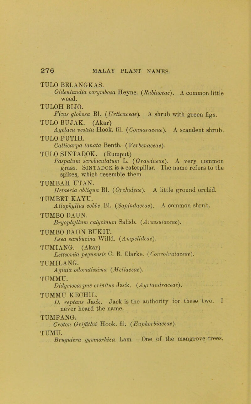 TULO BELANGKAS. Oldenlandia corymbosa Heyne. {Jtiihiaceae). A common little weed. TULOH BUG. Ficus globosa Bl. (Urticaceae). A shrub with green figs. TULO BUJAK. (Akar) Agelaea vestita Hook. fil. (Co7inaraceae). A scandent shrub. TULO PUTIH. Callicarpa lanata Benth. ( Vei-benaceae). TULO SINTADOK. (Rumput) Paspalum scrobiculaium L. (Qrawineae). A very common grass. SiNTADOK is a caterpillar. The name refers to the spikes, which resemble them TUMBAH UTAN. Hetaeria obJiqua Bl. (Orchideae). A little ground orchid. TUMBET KAYU. Allophyllus cobbe Bl. {Sapindaceae). A common shrub. TUMBO DAUN. Bi-yophyllum calycinum Salisb. {Avassulaceae). TUMBO DAUN BUKIT. Leea sambucina Willd. {Ampelideae). TUMIANG. (Akar) Lettsomia peguensis (j. B. Clarke. {Convolvulaceae). TUMILANG. Aglaia odoratissima (Meliaceae). TUMMU. Didymocarpus crinitus Jack. {Ayrtandraceae), TUMMU KECHIL. D. replans Jack. Jack is the authority for these two. I never heard the name. TUMPANG. Croton Griffithii Hook. fil. (Euphorbiaceae). TUMU. Bruguiera gymnorhiza Lam. One of the mangrove trees,