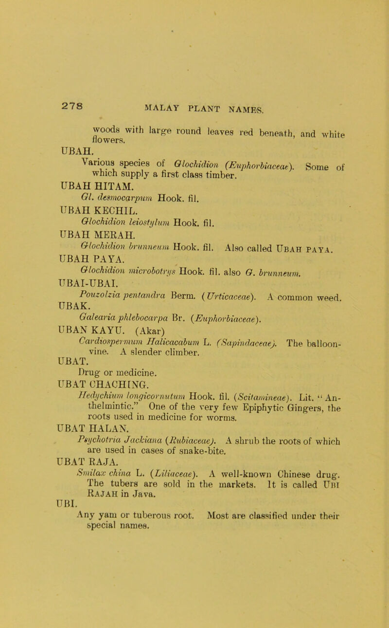 \vood8 with lar^e round leaves red beneath, and white tiowers. UBAH. Various species of Olochidion (Euphorbinceat). Some of which supply a first class timber. UBAH HITAM. Gl. desmocarpum Hook. til. UBAH KECHIL. Qlochidion leiostijluin Hook. fil. UBAH MERAH. Qlochidion brunnenm Hook. fil. Also called Ubah pay4 UBAH PAYA. Qlochidion niicvobotvjis Hook. hi. also Q, bi'unncuni, UBAI-UBAI. Pouzolzia peiitandra Berm. l^TJvticaceae'). A common weed UBAK. Galearia phlebocarpa Br. {Euphorbiaceae). UBAN KAYU. (Akar) Cardiospermum IJalicacabum L. (Sapindaceae). The balloon- vine. A slender climber. UBAT. Drug- or medicine. UBAT CHACHING. Hedychiim longicormitum Hook. fil. (Scitamineae). Lit. “An- thelmintic.” One of the very few Epiphytic Ging-ers, the roots used in medicine for worms. UBAT HALAN. Psychotria Jackiana {llnbiaceaej. A shrub the roots of which are used in cases of snake-bite. UBAT RAJA. Sviilacc china L. (Liliaceae). A well-known Chinese drug. The tubers are sold in the markets. It is called Um Rajah in Java. UBl. Any yam or tuberous root. Most are classified under their special names.