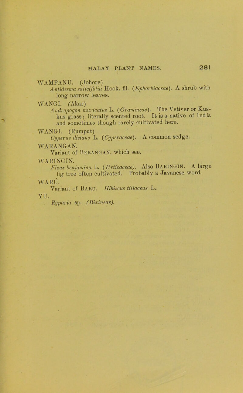 WAMPANU. (Johore) Aniidesma salicifo/ia Hook. fil. (Ephorbiaceae). A shrub with long narrow leaves. WANG I. rAkar) Andropogon mimcatus L. (^Qramineite). The Vetiver or Kus- kus grass; literally scented root. It is a native of India and sometimes though rarely cultivated here. WANGI. (Rumput) Cyperus distans L. (Cyperaceae). A common sedge. WARANGAN. Variant of Berangan, which see. WARING IN. Ficus benjamina L. ( Urticaceae). Also BarinGIN. A large lig tree often cultivated. Probably a Javanese word. WARli. Variant of Bard. Hibiscus ti/iaceus L. YU. Ryparia sp. (Bixiveae).
