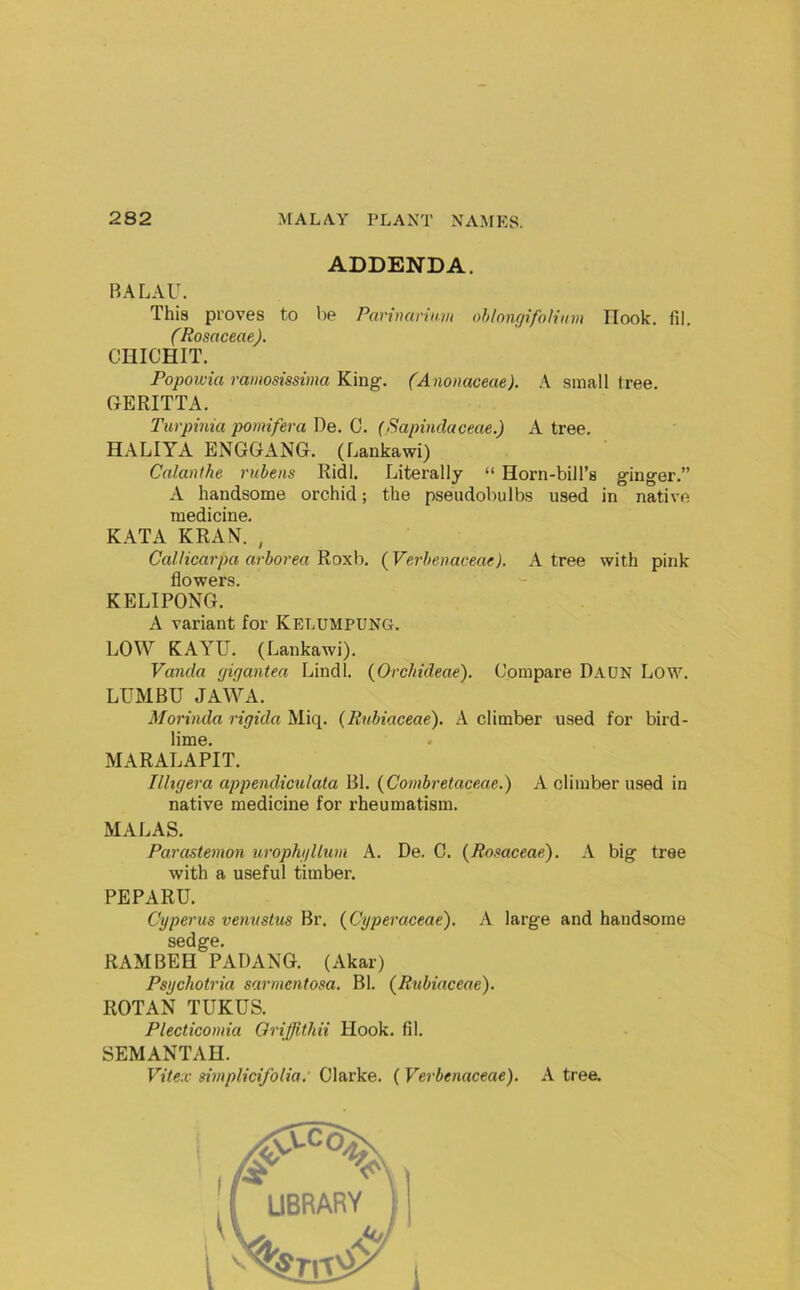 ADDENDA. BALAU. This proves to be Parvmnu.m ohloiif/ifolium Hook, fil. (Rosnceae). CHICHIT. Popowia ramosissima King. (Anonaceae). A small tree. GERITTA. Turpinia pomifera De. C. (Sapinclaceae.) A tree. HALIYA ENGGANG. (Lankawi) Calanthe ruhens Ridl. Literally “ Horn-bill’s ginger.” A handsome orchid; the pseudobulbs used in native medicine. KATA KRAN. , Callicarpa arborea Roxb. (Verhenaceae), A tree with pink flowers. KELIPONG. A variant for Kelumpung. LOW KAYU. (Lankawi). Vanda (jigantea Lindl. (Orchideae). Compare Dadn Low. LUMBU JAWA. Morinda rigida Miq. (Rubiaceae). A climber used for bird- lime. MARALAPIT. Ilhgera appendiculata Bl. {Combretaceae.) A climber used in native medicine for rheumatism. MALAS. Parastemon urophfillum A. De. C. {Rosaceaei). A big tree with a useful timber. PEPARU. Cyperus vemistus Br. {Cyperaceae). A large and handsome sedge. RAMBEH PADANG. (Akar) Psychotria sarmentosa. Bl. (^Rubiaceae). ROTAN TUKUS. Plecticomia Oriffithii Hook. fil. SEMANTAH. Vitex simplictfolia: Clarke. ( Verbenaceae). A tree.