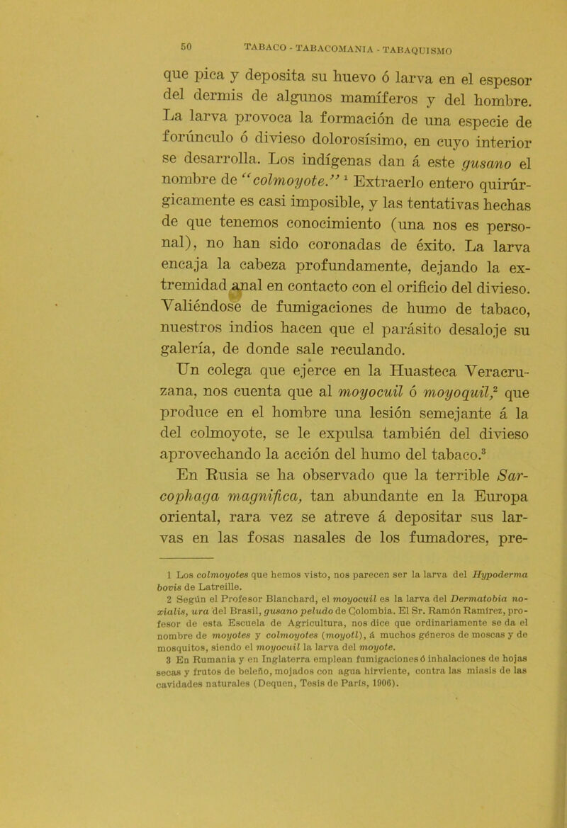 que pica y deposita su huevo o larva en el espesor del dermis de algunos mamíferos y del hombre. La larva provoca la formación de una especie de forúnculo ó divieso dolorosísimo, en cuyo interior se desarrolla. Los indígenas dan á este gusano el nombre de colmoyote/' Extraerlo entero quirúr- gicamente es casi imposible, y las tentativas hechas de que tenemos conocimiento (una nos es perso- nal), no han sido coronadas de éxito. La larva encaja la cabeza profundamente, dejando la ex- tremidad^nal en contacto con el orificio del divieso. Valiéndose de fumigaciones de humo de tabaco, nuestros indios hacen que el parásito desaloje su galería, de donde sale reculando. Un colega que ejerce en la Huasteca Veracru- zana, nos cuenta que al moyocuil ó moyoquil/ que produce en el hombre una lesión semejante á la del colmoyote, se le expulsa también del divieso aprovechando la acción del humo del tabaco.^ En Rusia se ha observado que la terrible Sar- cophaga magnifica, tan abundante en la Europa oriental, rara vez se atreve á depositar sus lar- vas en las fosas nasales de los fumadores, pre- 1 Los colmoyotes que hemos visto, nos parecen ser la larva del Hypoderma bovis de Latreille. 2 Según el Profesor Blanchard, el moyocuil es la larva del Dermatobia no- xialis, ura del Brasil, gusano peludo de Colombia. El Sr. Ramón Ramírez, pro- fesor de esta Escuela de Agricultura, nos dice que ordinariamente se da el nombre de moyotes y colmoyotes (moyotl), á muchos géneros de moscas y de mosquitos, siendo el moyocuil la larva del moyote. 3 En Rumania y en Inglaterra emplean fumigaciones ó inhalaciones de hojas secas y frutos de beleño, mojados con agua hirviente, contra las miasis de las cavidades naturales (Dequen, Tesis de París, 1906).