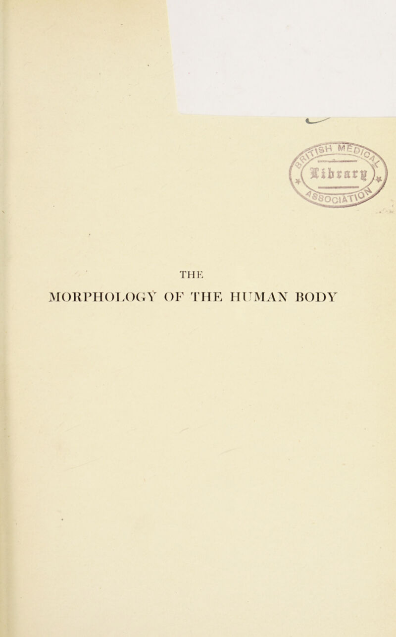 THE MORPHOLOGY OF THE HUMAN RODY