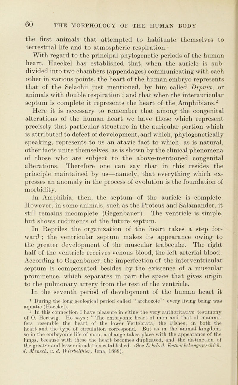the first animals that attempted to habituate themselves to terrestrial life and to atmospheric respiration.1 With regard to the principal phylogenetic periods of the human heart, Haeckel has established that, when the auricle is sub- divided into two chambers (appendages) communicating with each other in various points, the heart of the human embryo represents that of the Selachii just mentioned, by him called Dipnia, or animals with double respiration ; and that when the interauricular septum is complete it represents the heart of the Amphibians.2 Here it is necessary to remember that among the congenital alterations of the human heart we have those which represent precisely that particular structure in the auricular portion which is attributed to defect of development, and which, phylogenetically speaking, represents to us an atavic fact to which, as is natural, other facts unite themselves, as is shown by the clinical phenomena of those who are subject to the above-mentioned congenital alterations. Therefore one can say that in this resides the principle maintained by us—namely, that everything which ex- presses an anomaly in the process of evolution is the foundation of morbidity. In Amphibia, then, the septum of the auricle is complete. However, in some animals, such as the Proteus and Salamander, it still remains incomplete (Gegenbauer). The ventricle is simple, but shows rudiments of the future septum. In Reptiles the organization of the heart takes a step for- ward ; the ventricular septum makes its appearance owing to the greater development of the muscular trabeculae. The right half of the ventricle receives venous blood, the left arterial blood. According to Gegenbauer, the imperfection of the interventricular septum is compensated besides by the existence of a muscular prominence, which separates in part the space that gives origin to the pulmonary artery from the rest of the ventricle. In the seventh period of development of the human heart it 1 During the long geological period called “archozoic” every living being was aquatic (Haeckel). 2 In this connection I have pleasure in citing the very authoritative testimony of 0. Hertwig. He says : “ The embryonic heart of man and that of mammi- fers resemble the heart of the lower Vertebrata, the Fishes; in both the heart and the type of circulation correspond. But as in the animal kingdom, so in the embryonic life of man, a change takes place with the appearance of the lungs, because with these the heart becomes duplicated, and the distinction of the greater and lesser circulation established. (See Lehrb. d. Entwiclcelungsjeschich. d. Mensch. u. d. Wierbelthier, Jena, 1888).