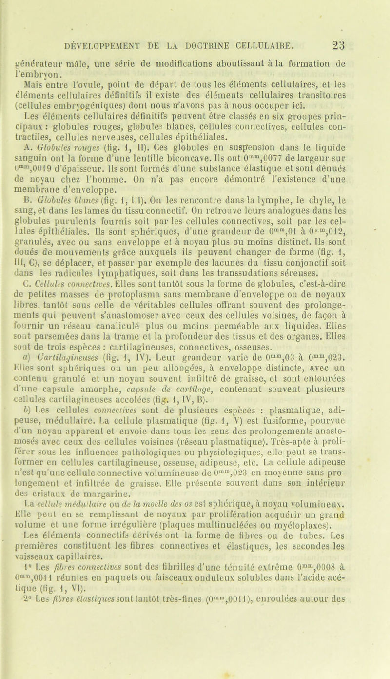 gGneraleur male, une serie de modifications aboutissant ii la formation de l’embryon. Mais entre l’ovule, point de depart de toils les elements cellulaires, et les elements cellulaires definilifs il exisle des elements cellulaires transitoires (cellules embrypgeniques) dont nous ir’avons pas a nous occuper ici. Les elements cellulaires definitifs peuvenl etre classes en six groupes prin- cipaux: globules rouges, globules blancs, cellules connectives, cellules con- tractiles, cellules nerveuses, cellules epitlieliales. A. Globules rouges (fig. 1, II). Ces globules en suspension dans le liquide sanguin ont la forme d’une lentille biconcave. Ils ont 0mm,0077 delargeur sur 0mm,00t 9 d’epaisseur. llssont formes d’une substance elastique et sont denues de noyau cbez l’bomtne. On n’a pas encore demontre l’existence d’une membrane d’enveloppe. B. Globules blancs (fig. t, 111). On les rencontre dans la lymphe, le chyle, le sang, et dans les lames du tissu connectif. On retrouve leurs analogues dans les globules purulenls fournis soit par les cellules connectives, soit par les cel- lules epitlieliales. 11s sont spheriques, d’une grandeur de 0mm,0t a 0um,012, granules, avec ou sans enveloppe et a noyau plus ou moins distinct. 11s sont doues de mouvements grttce auxquels ils peuvenl changer de forme (fig. 1, lit, C), se dGplacer, et passer par exemple des lacunes du tissu conjonctif soit dans les radicules lymphaliques, soit dans les transsudations sereuses. C. Cellules connectives. Elies sont tantOt sous la forme de globules, c’est-A-dire de petites masses de protoplasma sans membrane d’enveloppe ou de noyaux libres, tantOt sous celle de vAritables cellules offrant souvent des prolonge- ments qui peuvenl s’anastomoser avec ceux des cellules voisines, de fagon ii fournir un reseau canalicule plus ou moins permeable aux liquides. Elies sont parsem£es dans la trame et la profondeur des tissus et des organes. Elies sont de trois especes : cartilagineuses, connectives, osseuses. a) Cartilagineuses (fig. 1, IV). Leur grandeur varie de 0mm,03 a 0mtu,023. Elies sont sphdriques ou un peu allongees, a enveloppe distincte, avec un contenu granule et un noyau souvent infiltrg de graisse, et sont entourees d une capsule amorphe, capsule de cartilage, contenant souvent plusieurs cellules cartilagineuses accolees (fig. t, IV, B). b) Les cellules connectives sont de plusieurs especes : plasmatique, adi- peuse, medullaire. La cellule plasmatique (fig. 1, V) est fusiforme, pourvuc d’un noyau apparent et envoie dans tous les sens des prolongemenls anasto- moses avec ceux des cellules voisines (rdseau plasmatique). Tres-apte a proli- ferer sous les influences palhologiques ou physiologiques, elle peut se trans- former en cellules cartilagineuse, osseuse, adipeuse, etc. La cellule adipeuse n’est qu’uue cellule connective volumineuse de 0,u“’,023 en moyenne sans pro- longement et infiltree de graisse. Elle prdsenle souvent dans son interieur des cristaux de margarine. La cellule medullaire ou de la rnoelle des os est spherique, a noyau volumineux. Elle pent en sc remplissant de noyaux par proliferation acquerir un grand volume et une forme irreguliere (plaques multinucl6ees ou myeloplaxes). Les Elements connectifs derives ont la forme de fibres ou de tubes. Les premieres constituent les fibres connectives et elastiques, les sccondes les vaisseaux capillaires. tu Les fibres connectives sont des fibrilles d’unc lenuite extreme 0mm,0008 A 0mm,00l I reunies en paquets ou fuisceaux onduleux solubles dans l’acidc acd- lique (fig. t, VI). 2° Les fibres elastiques soul tantOt tres-fines (0,0011)., enroulees aulour des