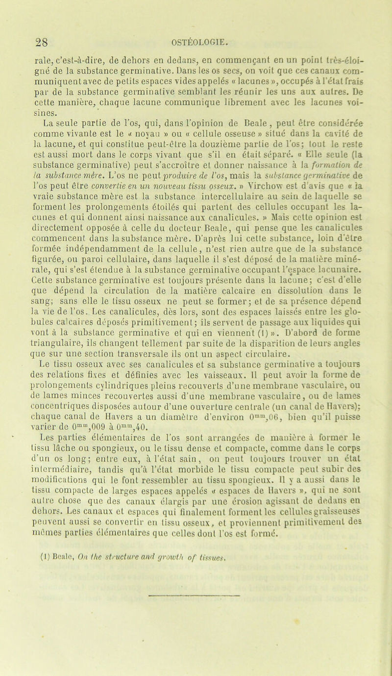 rale, e’est-i-dire, de dehors en dedans, en commengant en un point li6s-dloi- gne de la substance germinative. Dans les os secs, on voit que ces canaux com- rnuniquenl avec de petils espaces vides appeles « lacunes», occupes a l’etat frais par de la substance germinative semblant les rdunir les uns aux aulres. De cette maniere, cbaque lacune communique librement avec les lacunes voi- sines. La seule partie de l’os, qui, dans l’opinion de Deale , peut etre consideree comme vivante est le .< noyau » ou « cellule osseuse » situe dans la cavite de la lacune, et qui conslilue peut-Otre la douzieme partie de l’os; lout le reste est aussi mort dans le corps vivant que s’il en 6tait separe. « Elle seule (la substance germinative) peut s’accroitre et donner naissauce a la formation de la substance mire. L’os ne peut produire de I’os, mais la substance germinative de 1’os peut dire convertie en un nouveau tissu osseux. » Virchow est d’avis que « ia vraie substance m&re est la substance intercellulaire au sein de laquelle se forment les prolongements dtoilds qui partent des cellules occupant les la- cunes et qui donnent ainsi naissance aux canalicules. » Mais cette opinion est directement opposde a celle du docteur Beale, qui pense que les canalicules commencent dans la substance mdre. D’aprds lui cette substance, loin d’etre fornrfe independamment de la cellule, n’est rien autre que de la substance figuree, ou paroi cellulaire, dans laquelle il s’est depose de la maliere mind- rale, qui s’est etendue a la substance germinative occupant l’espace lacunaire. Cette substance germinative est toujours presente dans la lacune; c’est d’elle que depend la circulation de la mature calcaire en dissolution dans le sang; sans elle le tissu osseux ne peut se former; et de sa presence depend la vie de l’os. Les canalicules, des lors, sont des espaces laisses entre les glo- bules calcaires deposes primitivement; ils servent de passage aux liquides qui vont a la substance germinative et qui en viennent (I) ». D’abord de forme triangulaire, ils changent tellement par suite de la disparition de leurs angles que sur une section transversale ils ont un aspect circulaire. Le tissu osseux avec ses canalicules et sa substance germinative a toujours des relations fixes et ddfinies avec les vaisseaux. 11 peut avoir la forme de prolongements cylindriques pleins recouverts d’une membrane vaseulaire, ou de lames minces recouvertes aussi d’une membrane vaseulaire, ou de lames concentriques disposees aulour d’une ouverture centrale (un canal de Havers); chaque canal de Havers a un diam&tre d’environ 0mra,06, bien qu’il puisse varier de 0min,009 a 0mm,40. Les parties elementaires de l’os sont arrangees de maniere a former le tissu l&che ou spongieux, ou le tissu dense et compacte, comme dans le corps d’un os long; entre eux, a l’etat sain, on peut toujours trouver un elat inlermediaire, tandis qu’A l’elat morbide le tissu compacte peut subir des modifications qui le font ressembler au tissu spongieux. 11 y a aussi dans le tissu compacte de larges espaces appeles « espaces de Havers », qui ne sont autre chose que des canaux elargis par une erosion agissant de dedans en dehors. Les canaux et espaces qui finalemenl forment les cellules graisseuses peuvent aussi se convcrtir en tissu osseux, cl proviennent primitivement des nidmes parties elementaires que celles donl 1’os est forme. (1) Beale, On the structure and growth of tissues.