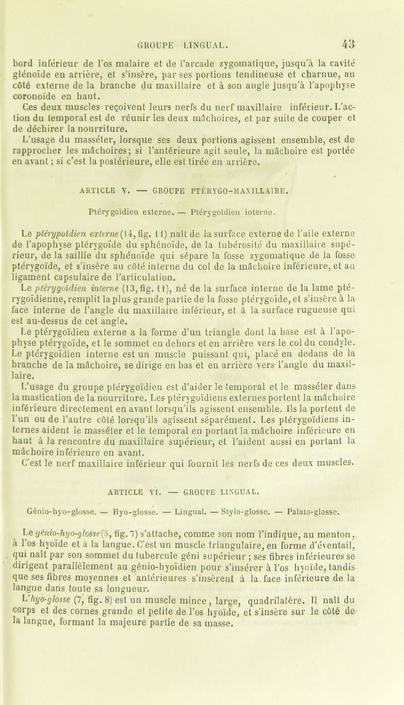 GROUPE LINGUAE. A‘i bord inferieur de l’os malaire et de l’arcade zygomatique, jusqu’A la cavite gleno'ide en arriere, et s’insire, par ses portions tendineuse et charnue, au cOte externe de la branehe du maxillaire et a son angle jusqu’A l’apophyse coronoide en bant. Ces deux muscles reqoivent leurs nerfs du nerf maxillaire inferieur. L’ac- lion du temporal est de ifeunir les deux mAchoires, et par suite de couper et de dSchirer la nourriture. L’usage du masseter, lorsque ses deux portions agissent ensemble, est de rapprocher les mftchoires; si Tanferieure agil seule, la mAchoire est portee en avant; si c’est la poslerieure, elle est tiree en arrfere. ARTICLE V. — GROUPE PTERYGO-MAXILL AIRE. Pterygoidien externe. — Pterygoidien interne. Le pterypoidien externe( 14, fig. 11) nait de la surface externe de l’aile externe de l’apophyse pterygoide du sphenoide, de la tuberosite du maxillaire supe- rieur, de la saillie du sphenoide qui siipare la fosse zygomatique de la fosse pterygoide, et s’ins^re au cOte interne du col de la mAchoire inferieure, et au ligament capsulaire de Tarliculation. Le pterygoidien interne (13, fig. it), ne de la surface interne de la lame pte- rygoidienne, remplit la plus grande parlie de la fosse pterygoide, et s’insfere A la face interne de l’angle du maxillaire inferieur, et A la surface rugueuse qui est au-dessus de cet angle. Le pterygoidien externe a la forme d’un triangle dont la base est A l’apo- physe pterygoide, et le sommet en dehors et en arriere vers le col du condyle. Le pterygoidien interne est un muscle puissant qui, place en dedans de la branehe de la mAchoire, se dirige en bas et en arriere vers Tangle du maxil- laire. L’usage du groupe pterygoidien est d’aider le temporal et le masseter dans la mastication de la nourriture. Les pterygoidiens externes portent la mAchoire inferieure directement en avant lorsqu’ils agissent ensemble. 11s la portent de Tun ou de l’autre cOfe lorsqu’ils agissent separement. Les pterygoidiens in- ternes aident le masseter et le temporal en porlant la mAchoire inferieure en haut a la rencontre du maxillaire superieur, et Taidenl aussi en portant la mAchoire inferieure en avant. (Test le nerf maxillaire inferieur qui fournit les nerfs de ces deux muscles. ARTICLE VI. — GROUPE LINGUAL. G6nio-hyo-glosse. — Hyo-glosse. — Lingual. — Stylo-glosse. — Palato-glosse. Le genio-hyo-glos$e('6, fig. ~) s’atlache, comir.e son nom Tindique, au menton, A 1 os hyoide et A la langue.C’esl un muscle triangulaire, en forme d’eventail, qui nait par son sommet du tubercule g£ni superieur ; ses fibres inferieures se dirigent paralfelement au gAnio-hyoidien pour s’inserer A Tos hyoide, tandis que ses fibres moyennes et anlerieures s’inserenl A la face inferieure de la langue dans toute sa longueur. L’/iyo-glosse (7, fig. 8) est un muscle mince, large, quadrilafere. II nail du corps et des cornes grande et petite de Tos hyoide, et s’insere sur le cOfe de la langue, formant la majeure partic de sa masse.