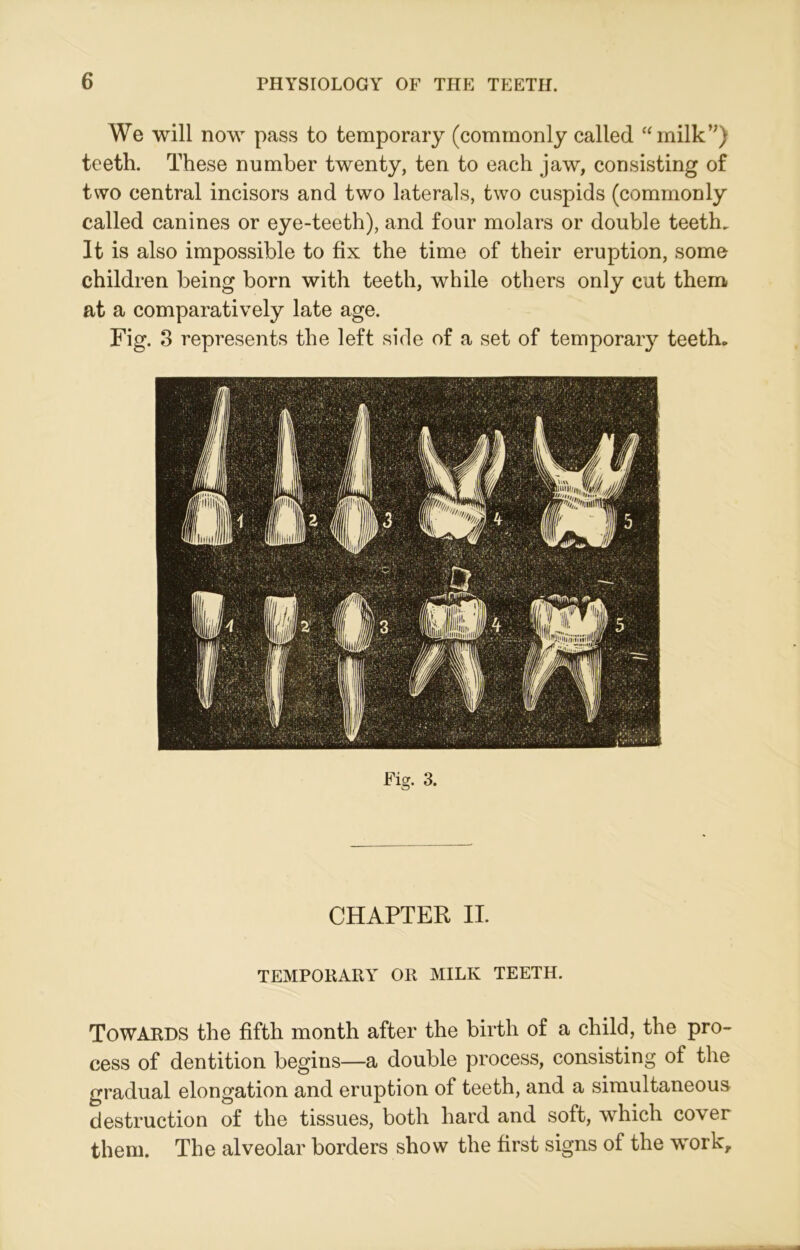 We will now pass to temporary (commonly called “milk”) teeth. These number twenty, ten to each jaw, consisting of two central incisors and two laterals, two cuspids (commonly called canines or eye-teeth), and four molars or double teeth. It is also impossible to fix the time of their eruption, some children being born with teeth, while others only cut them at a comparatively late age. Fig. 3 represents the left side of a set of temporary teeth. Fig. 3. CHAPTER II. TEMPORARY OR MILK TEETH. Towards the fifth month after the birth of a child, the pro- cess of dentition begins—a double process, consisting of the gradual elongation and eruption of teeth, and a simultaneous destruction of the tissues, both hard and soft, which cover them. The alveolar borders show the first signs of the work.