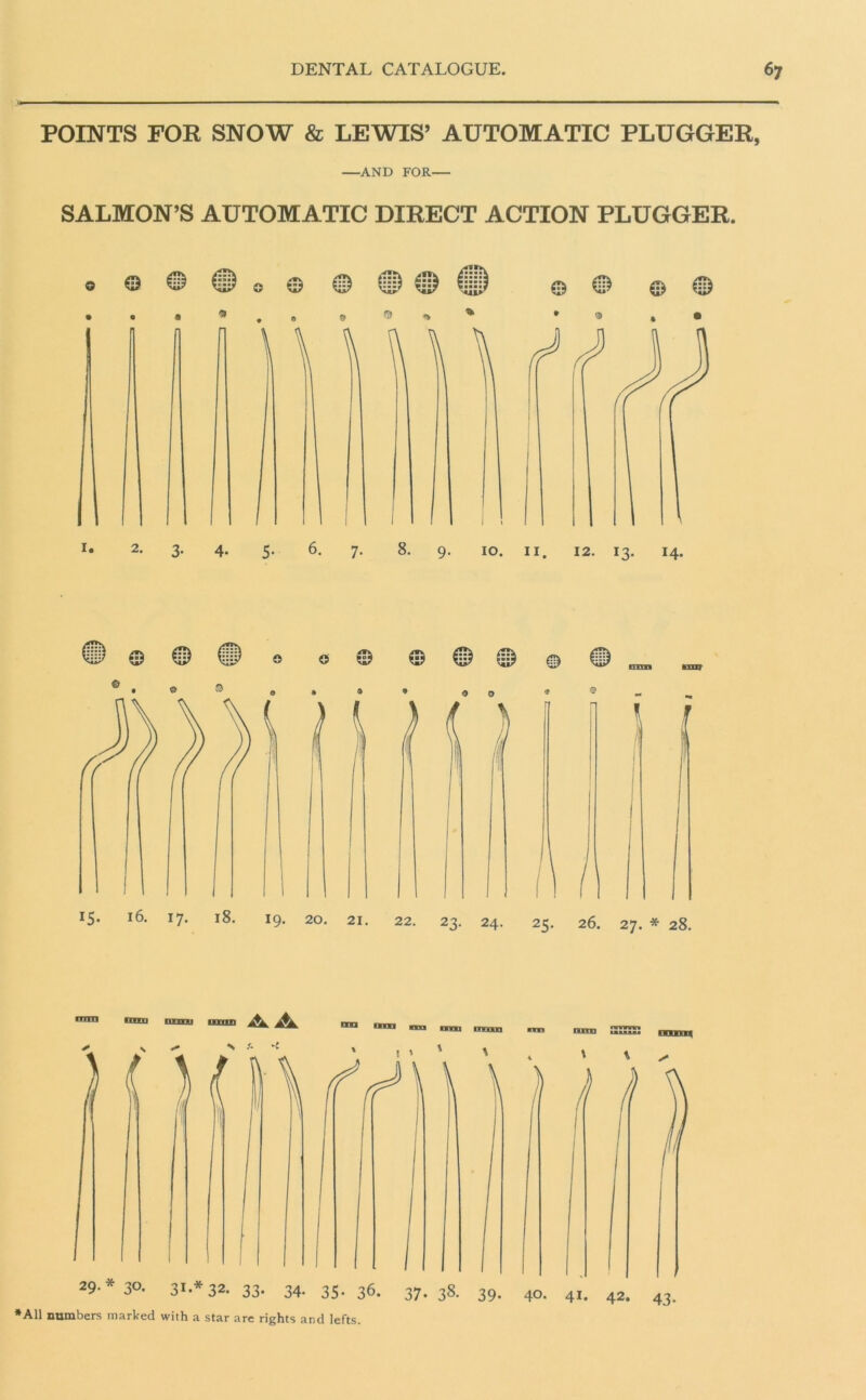 POINTS FOR SNOW & LEWIS’ AUTOMATIC PLUGGER, —AND FOR— SALMON’S AUTOMATIC DIRECT ACTION PLUGGER. 43-