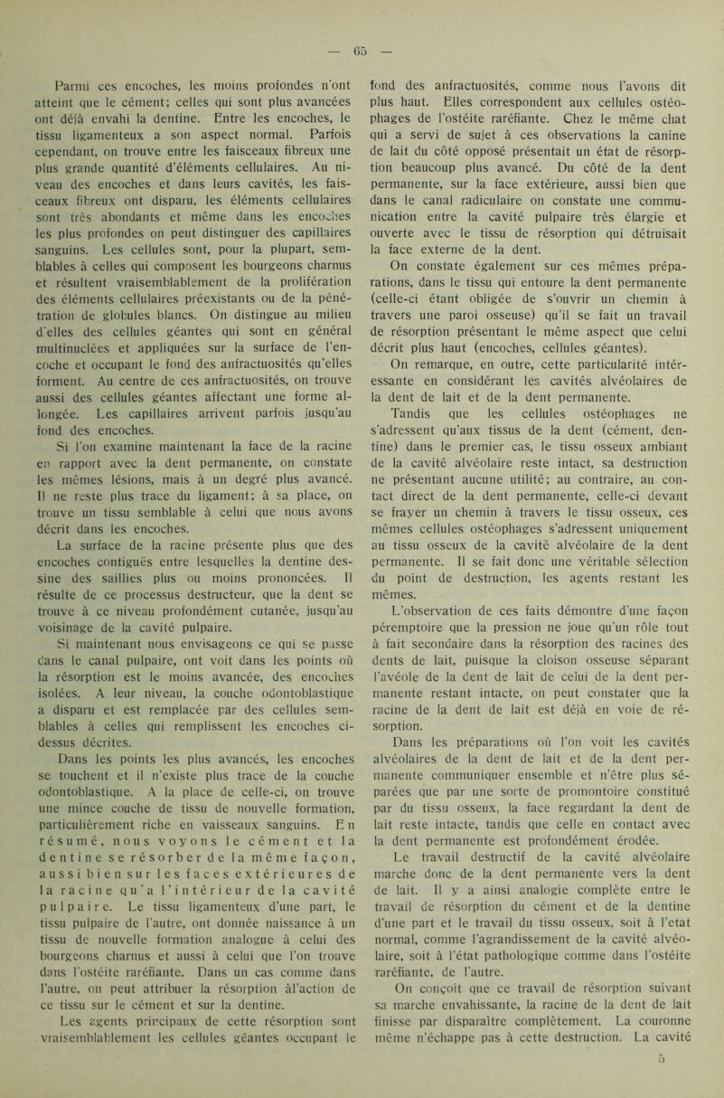 Parmi ces encoches, les moins profondes n'ont atteint que le cement; celles qui sont plus avancees out deja envahi la dentine. Entre les encoches, le tissu liganienteux a son aspect normal. Parfois cependant, on trouve entre les faisceaux fibreux line plus grande quantite d’elements cellulaires. Au ni- veau des encoches et dans leurs cavites, les fais- ceaux fibreux ont disparu, les elements cellulaires sont tres abondants et meme dans les encoches les plus profondes on peut distinguer des capillaires sanguins. Les cellules sont, pour la plupart, sem- blables a cedes qui composent les bourgeons charnus et resultent vraisemblablement de la proliferation des elements cellulaires preexistants ou de la pene- tration de globules blancs. On distingue au milieu d'elles des cellules geantes qui sont en general multinuclees et appliquees sur la surface de l’en- coche et occupant le fond des anfractuosites qu’elles forment. Au centre de ces anfractuosites, on trouve aussi des cellules geantes affectant une forme al- longee. Les capillaires arrivent parfois jusqu'au fond des encoches. Si Ton examine maintenant la face de la racine en rapport avec la dent permanente, on constate les monies lesions, mais a un degre plus avance. II ne reste plus trace du ligament; a sa place, on trouve un tissu semblable a celui que nous avons decrit dans les encoches. La surface de la racine presente plus que des encoches contigues entre lesquclles la dentine des- sine des saillies plus ou moins prononcees. II resulte de ce processus destructeur, que la dent se trouve a ce niveau profondement cutanee, jusqu’au voisinage de la cavite pulpaire. Si maintenant nous envisageons ce qui se passe clans le canal pulpaire, ont voit dans les points ou la resorption est le moins avancee, des encoches isolees. A leur niveau, la couche odontoblastique a disparu et est remplacee par des cellules sem- blables a cedes qui remplissent les encoches ci- dessus decrites. Dans les points les plus avances, les encoches se touchent et il n’existe plus trace de la couche odontoblastique. A la place de celle-ci, on trouve line mince couche de tissu de nouvede formation, particulierement riche en vaisseaux sanguins. E n resume, nous voyons le cement et la dentine se resorber de la meme f a ? o n , aussibien sur les faces exterieures de la racine qu’a l’interieur de la cavite pulpaire. Le tissu liganienteux d’une part, le tissu pulpaire de l'autre, ont donnee naissance a un tissu de nouvede formation analogue a celui des bourgeons charnus et aussi a celui que I’on trouve dans l'osteite rarefiante. Dans un cas comme dans l’autre, on peut attribuer la resorption abaction de ce tissu sur le cement et sur la dentine. Les agents prir.cipaux de cette resorption sont vraisemblablement les cellules geantes occupant le fond des anfractuosites, comme nous l’avons dit plus haut. Elies correspondent aux cellules osteo- phages de l'osteite rarefiante. Chez le meme chat qui a servi de sujet a ces observations la canine de lait du cote oppose presentait un etat de resorp- tion beaucoup plus avance. Du cote de la dent permanente, sur la face exterieure, aussi bien que dans le canal radiculaire on constate une commu- nication entre la cavite pulpaire tres elargie et ouverte avec le tissu de resorption qui detruisait la face externe de la dent. On constate egalement sur ces memes prepa- rations, dans le tissu qui entoure la dent permanente (celle-ci etant obligee de s’ouvrir un chemin a travers une paroi osseuse) qu’il se fait un travail de resorption presentant le meme aspect que celui decrit plus haut (encoches, cellules geantes). On remarque, en outre, cette particularity inter- essante en considerant les cavites alveolaires de la dent de lait et de la dent permanente. Tandis que les cellules osteophages ne s'adressent qu’aux tissus de la dent (cement, den- tine) dans le premier cas, le tissu osseux ambiant de la cavite alveolaire reste intact, sa destruction ne presentant aucune utilite; au contraire, au con- tact direct de la dent permanente, celle-ci devant se frayer un chemin a travers le tissu osseux, ces memes cellules osteophages s'adressent uniquement au tissu osseux de la cavite alveolaire de la dent permanente. II se fait done une veritable selection du point de destruction, les agents restant les memes. L’observation de ces faits demontre d'une fagon peremptoire que la pression ne joue qu'un role tout a fait secondaire dans la resorption des racines des dents de lait, puisque la cloison osseuse separant l'aveole de la dent de lait de celui de la dent per- manente restant intacte, on peut constater que la racine de la dent de lait est deja en voie de re- sorption. Dans les preparations ou Ton voit les cavites alveolaires de la dent de lait et de la dent per- manente communiquer ensemble et n'etre plus se- parees que par une sorte de promontoire constitue par du tissu osseux, la face regardant la dent de lait reste intacte, tandis que celle en contact avec la dent permanente est profondement erodee. Le travail destructif de la cavite alveolaire marche done de la dent permanente vers la dent de lait. II y a aitisi analogie complete entre le travail de resorption du cement et de la dentine d’une part et le travail du tissu osseux, soit a l’etat normal, comme ragrandissement de la cavite alveo- laire, soit a l’etat pathologique comme dans l'osteite rarefiante, de l'autre. On congoit que ce travail de resorption suivant sa marche envahissante, la racine de la dent de lait finisse par disparaitre completement. La couronne meme n’echappe pas a cette destruction. La cavite