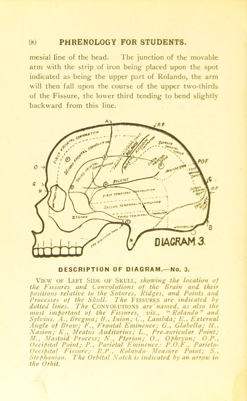 mesial line of the head. The junction of the movable arm with the strip of iron being placed upon the spot indicated as being the upper part of Rolando, the arm will then fall upon the course of the upper two-thirds of the Fissure, the lower third tending to bend slightly backward from this line. DESCRIPTION OF DIAGRAM.—No. 3. View of Left Side of Skull, showing the location of the Fissures and. Convolutions of the Brain and their positions relative to the Sutures, Ridges, and Points and Processes of the Skull. The FISSURES arc indicated by dotted lines. The CONVOLUTIONS are' named, as also the most important of the Fissures, vis., “ Rolando ” and Sylvius. A., Bregma; B., Inion; C., Lambda; E., External Angle of Brow; F., Frontal Eminence; G., Glabella; If., Nasion; K., Meatus Auditorius ; L., Prc-auricular Point; M., Mastoid Process; N., Pterion; O., Ophryon; O.P., Occipital Point; P., Parietal Eminence: P.O.F., Parieto- occipital Fissure; R.P.. Rolando Measure Point; S., Stephanion. The Orbital Notch is indicated by an arrow in the Orbit.