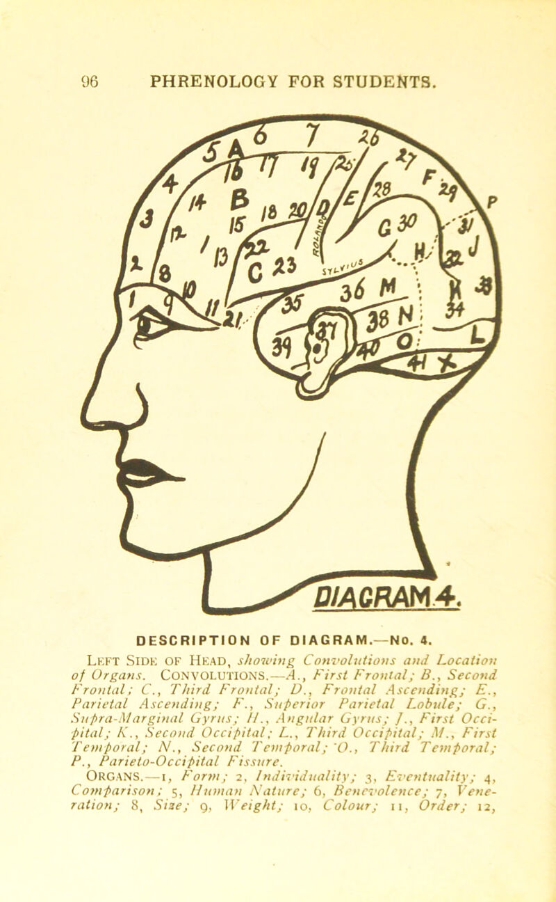 P/ACRAM4. DESCRIPTION OF DIAGRAM.—No. 4. Left Side of Head, showing Convolutions and Location of Organs. Convolutions.—A., First Frontal; B., Second Frontal; C., Third Frontal; D., Frontal Ascending; E., Parietal Ascending; F., Superior Parietal Lobule; G., Supra-Marginal Gyrus; H., Angular Gyrus; /., First Occi- pital; K., Second Occipital; L., Third Occipital; M., First Temporal; N., Second Temporal; O., Third Temporal; P., Parieto-Occipital Fissure. ORGANS.—i, Form; 2, Individuality; 3, Eventuality; 4, Comparison; 5, Human Nature; 6, Benevolence; 7, Vene- ration; 8, Size; g, Weight; 10, Colour; 11, Order; 12,