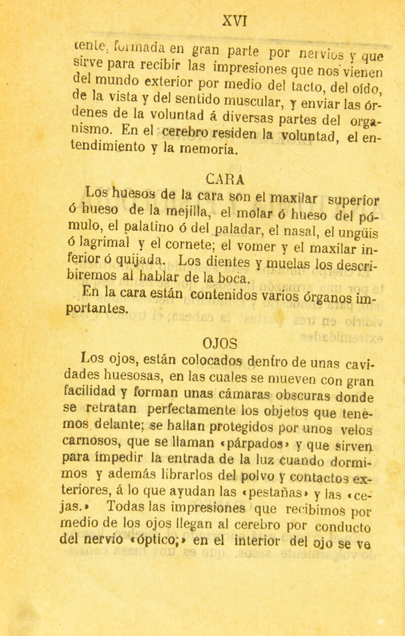 XVI lenlc, formada en gran parle por nei vios y que S''mnn!?‘'“i ' mpresiones que nos vieL del mundo exterior por medio del tacto, del oído, ae la vista y del sentido muscular, y enviar las ór- denes de la voluntad á diversas partes del orga- nismo. En el cerebro residen la voluntad, el en- tendimiento y la memoria. CARA Los huesos de la cara son el maxilar superior ó hueso de la mejilla, el molar ó hueso del pó- mulo, el palatino ó del paladar, el nasal, el ungüis ó lagrimal y el cornete; el vomer y el maxilar in- ferior ó quijada. Los dientes y muelas los descri- biremos al hablar de la boca. En la cara están contenidos varios órganos im- portantes. OJOS Los ojos, están colocados deníro de unas cavi- dades huesosas, en las cuales se mueven con gran facilidad y forman unas cámaras obscuras donde se retratan perfectamente los objetos que tene- mos delante; se hallan protegidos por unos velos carnosos, que se llaman • párpados» y que sirven para impedir la entrada de la luz cuando dormi- mos y además librarlos del polvo y contactos ex- teriores, á lo que ayudan las «pestañas» y la.s «ce- jas.» Todas las impresiones que recibimos por medio de los ojos llegan al cerebro por conducto del nervio «óptico;» en el interior del ojo se ve