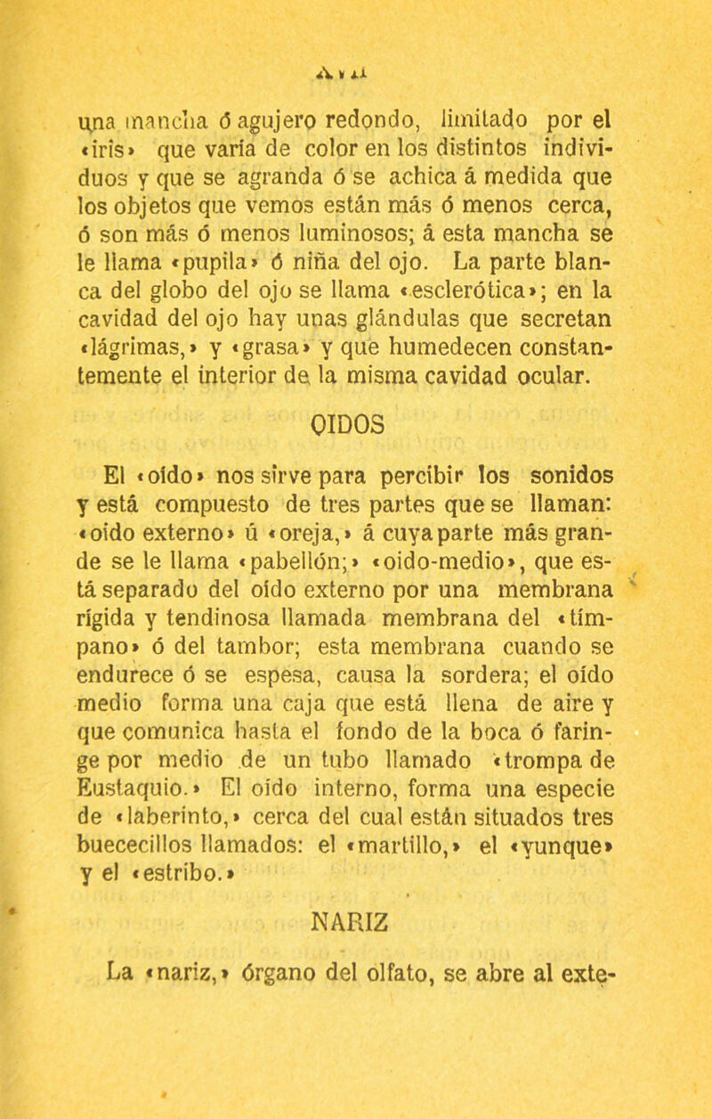 A V i.i una manclia (5 agujero redondo, limilado por el «iris» que varía de color en los distintos indivi- duos y que se agranda ó se achica á medida que los objetos que vemos están más ó menos cerca, ó son más ó menos luminosos; á esta mancha se le llama «pupila» ó niña del ojo. La parte blan- ca del globo del ojo se llama «esclerótica»; en la cavidad del ojo hay unas glándulas que secretan «lágrimas,» y «grasa» y que humedecen constan- temente el interior de la misma cavidad ocular. OIDOS El «oido» nos sirve para percibir los sonidos y está compuesto de tres partes que se llaman: «oido externo» ú «oreja,» á cuya parte más gran- de se le llama «pabellón;» «oido-medio», que es- tá separado del oído externo por una membrana rígida y tendinosa llamada membrana del «tím- pano» ó del tambor; esta membrana cuando se endurece ó se espesa, causa la sordera; el oído medio forma una caja que está llena de aire y que comunica hasta el fondo de la boca ó farin- ge por medio de un tubo llamado «trompa de Eustaquio.» El oído interno, forma una especie de «laberinto,» cerca del cual están situados tres buececillos llamados: el «martillo,» el «yunque» y el «estribo.» NARIZ La «nariz,» órgano del olfato, se abre al exte-