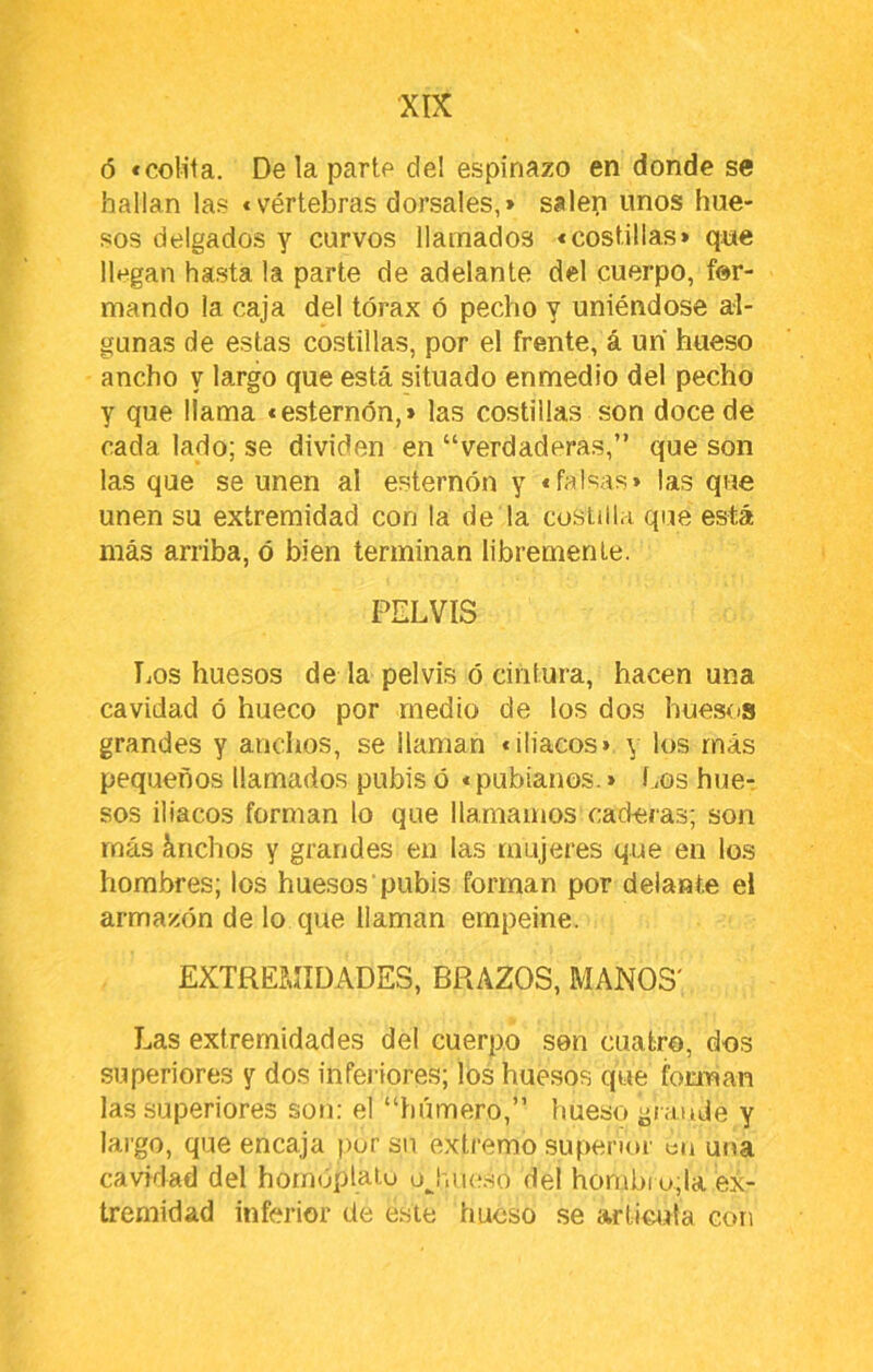 ó «colita. De la parte del espinazo en donde se hallan las «vértebras dorsales,» salen unos hue- sos delgados y curvos llamados «costillas» que llegan hasta la parte de adelante del cuerpo, for- mando la caja del tórax ó pecho y uniéndose al- gunas de estas costillas, por el frente, á un hueso ancho y largo que está situado enmedio del pecho y que llama «esternón,» las costillas son doce de cada lado; se dividen en “verdaderas,” que son las que se unen al esternón y «falsas» las que unen su extremidad con la de la cosUll.i que está más arriba, ó bien terminan libremente. PELVIS íiOS huesos de la pelvis ó cintura, hacen una cavidad ó hueco por medio de los dos hue.sos grandes y anchos, se llaman «iliacos» y los más pequeños llamados pubis ó «pubianos.» í.,os huer sos iliacos forman lo que llamamos caderas; son más ánchos y grandes en las mujeres que en los hombres; los huesos pubis forman por delante el armazón de lo que llaman empeine. EXTREMIDADES, BRAZOS, MANOS' Las extremidades del cuerpo sen cuatro, dos superiores y dos infej iores; los huesos que forman las superiores son: el “húmero,” hueso grande y largo, que encaja por su extremo superior en una cavidad del homóplalu o^hue.so del hombi o;la ex- tremidad inferior de este hueso se articula con