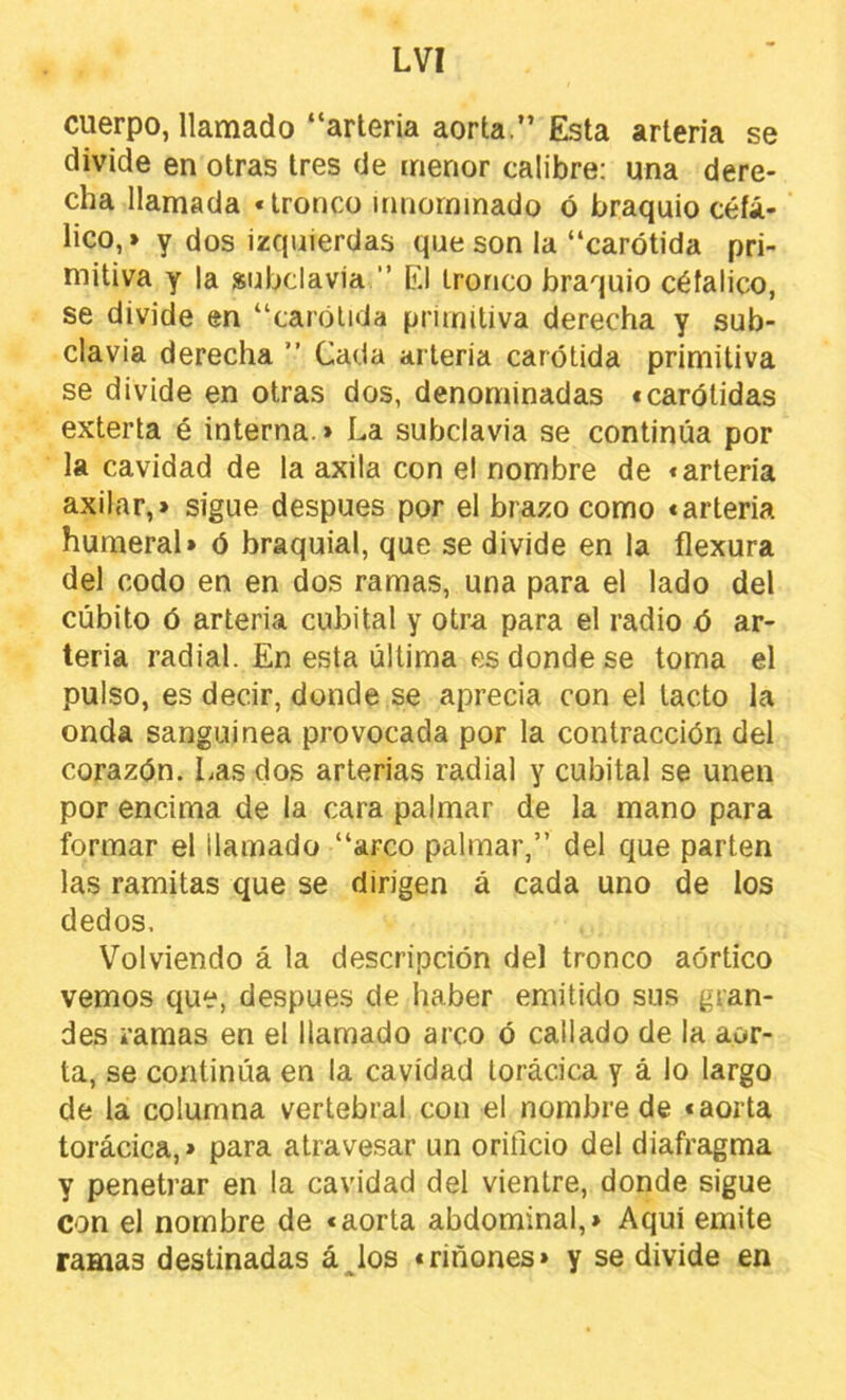 cuerpo, llamado “arteria aorta. Esta arteria se divide en otras tres de menor calibre: una dere- cha llamada «tronco innominado ó braquio cefá- lico, > y dos izquierdas que son la “carótida pri- mitiva y la subclavia ’’ El tronco braquio céfalico, se divide en “carótida primitiva derecha y sub- clavia derecha ’’ Cada arteria carótida primitiva se divide en otras dos, denominadas «carótidas exterta é interna.» La subclavia se continúa por la cavidad de la axila con el nombre de «arteria axilar,» sigue después por el brazo como «arteria humeral» ó braquial, que se divide en la flexura del codo en en dos ramas, una para el lado del cubito ó arteria cubital y otra para el radio ó ar- teria radial. En esta última es donde se toma el pulso, es decir, donde se aprecia con el tacto la onda sanguínea provocada por la contracción del corazón. Las dos arterias radial y cubital se unen por encima de la cara palmar de la mano para formar el llamado “arco palmar,” del que parten las ramitas que se dirigen á cada uno de los dedos. Volviendo á la descripción del tronco aórtico vemos que, después de haber emitido sus gran- des ramas en el llamado arco ó callado de la aor- ta, se continúa en la cavidad torácica y á lo largo de la columna vertebral con el nombre de «aorta torácica,» para atravesar un orificio del diafragma y penetrar en la cavidad del vientre, donde sigue con el nombre de «aorta abdominal,» Aquí emite ramas destinadas á^los «riñones» y se divide en