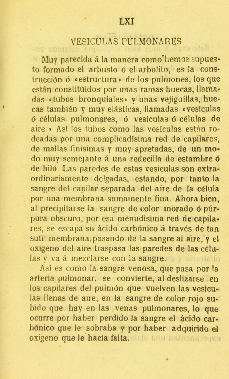 VESICULAS PULMONARES Muy parecida á la manera como'Iiemos supues- to formado el arbusto ó el arbolito, es la cons- trucción ó «estructura» de los pulmones, los que están constituidos por unas ramas huecas, llama- das «tubos bronquiales» y unas vejiguillas, hue- cas también y muy elásticas, llamadas «vesículas ó células pulmonares, ó vesículas ó células de aire.» Asi los tubos como las vesículas están ro- deadas por una complicadísima red de capilares, de mallas finisimas y muy apretadas, de un mo- do muy semejante á una redecilla de estambre ó de hilo Las paredes de estas vesículas son extra- ordinariamente delgadas, estando, por tanto la sangre del capilar separada del aire de la célula por una membrana sumamente fina. Ahora bien, al precipitarse la sangre de color morado ó púr- pura obscuro, por esa menudísima red de capila- res, se escapa su ácido carbónico á través de tan sutil membrana, pasando de la sangre ai aire, y el oxigeno del aire traspasa las paredes de las célu- las Y va á mezclarse con ia sangre. Asi es como la sangre veno.sa, que pasa por la arteria pulmonar, se convierte, al deslizarse en los capilares del pulmón que vuelven las vesícu- las llenas de aire, en la sangre de color rojo su- bido que hay en las venas pulmonares, lo que ocurre por haber perdido la sangre el ácido car- bónico que le sobraba y por haber adquirido el oxigeno que le hacía falta.