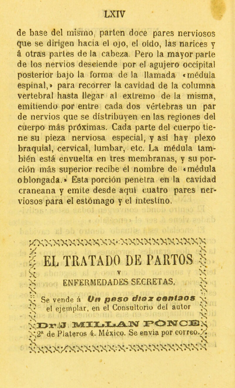 de base del mismo, parten doce pares nerviosos que se dirigen hacia el ojo, el oído, las narices y á otras parles de la cabeza. Pero la mayor parte de los nervios desciende por el agujero occipital posterior bajo la forma de la llamada «médula espinal,» para recorrer la cavidad de la columna vertebral hasta llegar al extremo de la misma, emitiendo por entre cada dos vértebras un par de nervios que se distribuyen en las regiones del cuerpo más próximas. Cada parte del cuerpo tie- ne su pieza nerviosa especial, y así hay plexo braquial, cervical, lumbar, etc. La médula tam- bién está envuelta en tres membranas, y su por- ción más superior recibe el nombre de «médula oblongada.» Esta porción penetra en la cavidad craneana y emite desde aquí cuatro pares ner- viosos para el estómago y el intestino. X. -N - A ■ .S» I EL TRATADO DE PARTOS $ X X ENFERMEDADES SECRETAS, X X Se vende á p»so dt&x cantaos X el ejemplar, en el Consultorio del autor ■>.; XXJr.lJ MIIjI*i9L3Sr I»03XrC3E!X ■Í-V2* de Plateros 4. México. Se envia por correo.X X XXXX'XXXXXX^X-XXXXXXXXXX •S • -X
