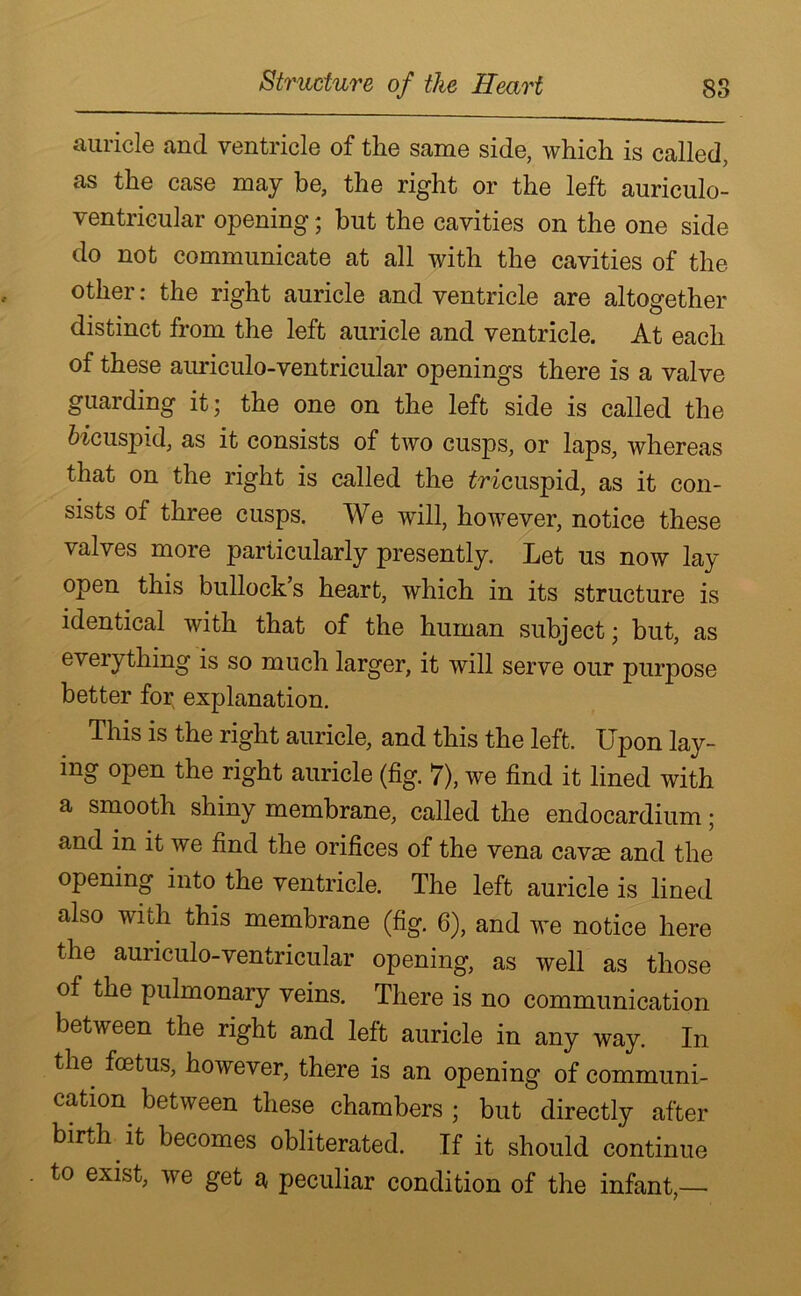 auricle and ventricle of the same side, which is called, as the case may be, the right or the left auriculo- ventricular opening; but the cavities on the one side do not communicate at all with the cavities of the other: the right auricle and ventricle are altogether distinct from the left auricle and ventricle. At each of these auriculo-ventricular openings there is a valve guarding it; the one on the left side is called the bicuspid, as it consists of two cusps, or laps, whereas that on the right is called the tricuspid, as it con- sists of three cusps. We will, however, notice these valves more particularly presently. Let us now lay open this bullock’s heart, which in its structure is identical with that of the human subject; but, as everything is so much larger, it will serve our purpose better for explanation. This is the right auricle, and this the left. Upon lay- ing open the right auricle (fig. 7), we find it lined with a smooth shiny membrane, called the endocardium; and in it we find the orifices of the vena cavae and the opening into the ventricle. The left auricle is lined also with this membrane (fig. 6), and we notice here the auriculo-ventricular opening, as well as those of the pulmonary veins. There is no communication between the right and left auricle in any way. In the foetus, however, there is an opening of communi- cation between these chambers ; but directly after birth it becomes obliterated. If it should continue to exist, we get a peculiar condition of the infant,—