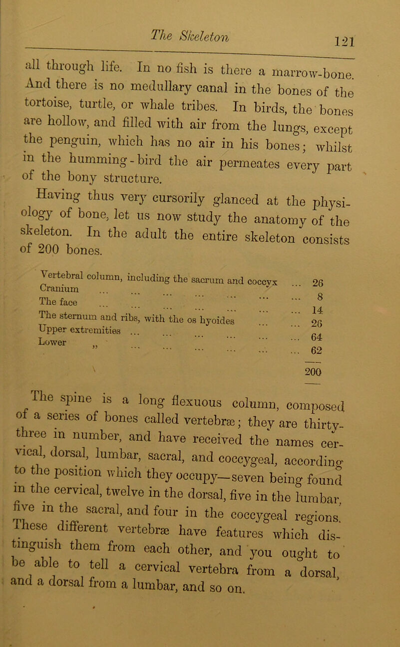 The Skeleton 121 nil through life. In no fish is there a marrow-bone. And there is no medullary canal in the bones of the tortoise, turtle, or whale tribes. In birds, the bones are hollow, and filled with air from the lungs, except the penguin, which has no air in his bones;’ whilst in the humming-bird the air permeates every part of the bony structure. Haying thus very cursorily glanced at the physi- ology of bone, let us now study the anatomy of the skeleton. In the adult the entire skeleton consists of 200 bones. Vertebral column, including the sacrum and coccyx Cranium The face The sternum and ribs, with the os hyoides Upper extremities ... Lower 26 8 14 26 64 62 200 The spine is a long flexuous column, composed oi a series of bones called vertebra; they are thirtv- three in number, and have received the names cer- vical, dorsal, lumbar, sacral, and coccygeal, according to the position which they occupy-seven being found m the cervical, twelve in the dorsal, five in the lumbar five m the sacral, and four in the coccygeal regions! Ihese different vertebra have features which dis- tinguish them from each other, and you ought to be able to tell a cervical vertebra from a dorsal, anu a dorsal from a lumbar, and so on.