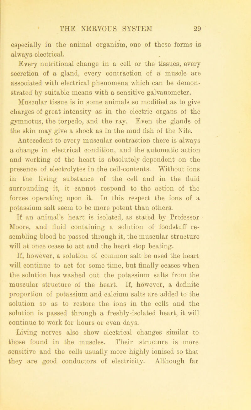 especially in the animal organism, one of these forms is always electrical. Every nutritional change in a cell or the tissues, every secretion of a gland, every contraction of a muscle are associated with electrical phenomena which can be demon- strated by suitable means with a sensitive galvanometer. Muscular tissue is in some animals so modified as to give charges of great intensity as in the electric organs of the gymnotus, the torpedo, and the ray. Even the glands of the skin may give a shock as in the mud fish of the Nile. Antecedent to every muscular contraction there is always a change in electrical condition, and the automatic action and working of the heart is absolutely dependent on the presence of electrolytes in the cell-contents. Without ions in the living substance of the cell and in the fluid surrounding it, it cannot respond to the action of the forces operating upon it. In this respect the ions of a potassium salt seem to be more potent than others. If an animal’s heart is isolated, as stated by Professor Moore, and fluid containing a solution of foodstuff re- sembling blood be passed through it, the muscular structure will at once cease to act and the heart stop beating. If, however, a solution of common salt be used the heart will continue to act for some time, but finally ceases when the solution has washed out the potassium salts from the muscular structure of the heart. If, however, a definite proportion of potassium and calcium salts are added to the solution so as to restore the ions in the cells and the solution is passed through a freshly-isolated heart, it will continue to work for hours or even days. Living nerves also show electrical changes similar to those found in the muscles. Their structure is more sensitive and the cells usually more highly ionised so that they are good conductors of electricity. Although far