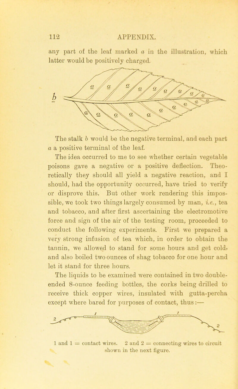 any part of the leaf marked a in the illustration, which latter would be positively charged. The stalk b would be the negative terminal, and each part a a positive terminal of the leaf. The idea occurred to me to see whether certain vegetable poisons gave a negative or a positive deflection. Theo- retically they should all yield a negative reaction, and I should, had the opportunity occurred, have tried to verify or disprove this. But other work rendering this impos- sible, we took two things largely consumed by man, i.e., tea and tobacco, and after first ascertaining the electromotive force and sign of the air of the testing room, proceeded to conduct the following experiments. First we prepared a very strong infusion of tea which, in order to obtain the tannin, we allowed to stand for some hours and get cold* and also boiled two ounces of shag tobacco for one hour and let it stand for three hours. The liquids to be examined were contained in two double- ended 8-ouuce feeding bottles, the corks being drilled to receive thick copper wires, insulated with gutta-percha except where bared for purposes of contact, thus:— 1 and 1 = contact wires. 2 and 2 = connecting wires to circuit shown in the next figure.