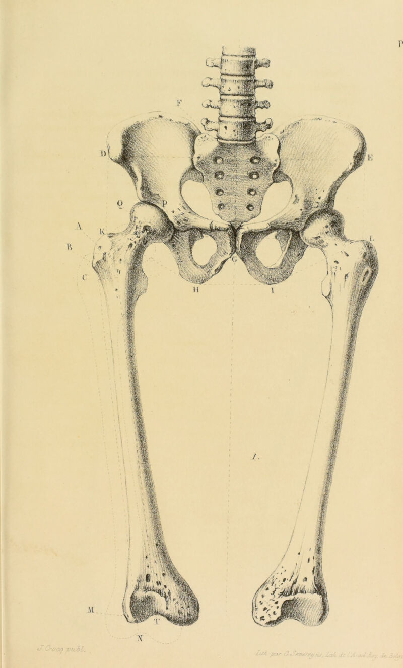 7,û ;<n vie il. /■ •-