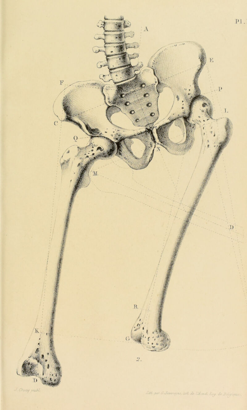 <W- de tjiiiid. Ju-./. de