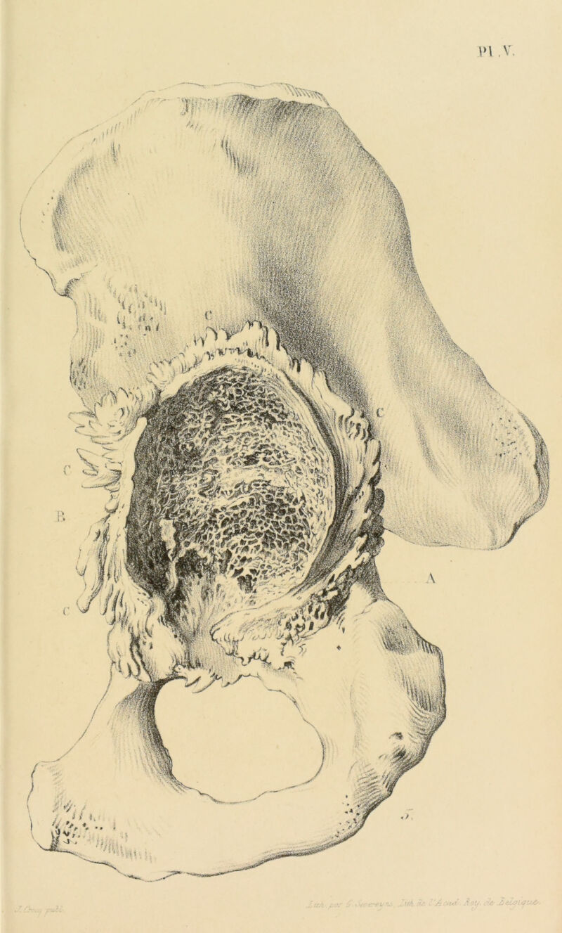 \>l .V JJ :y, j/A. . 7'Al tl<> Jt . I4U&.